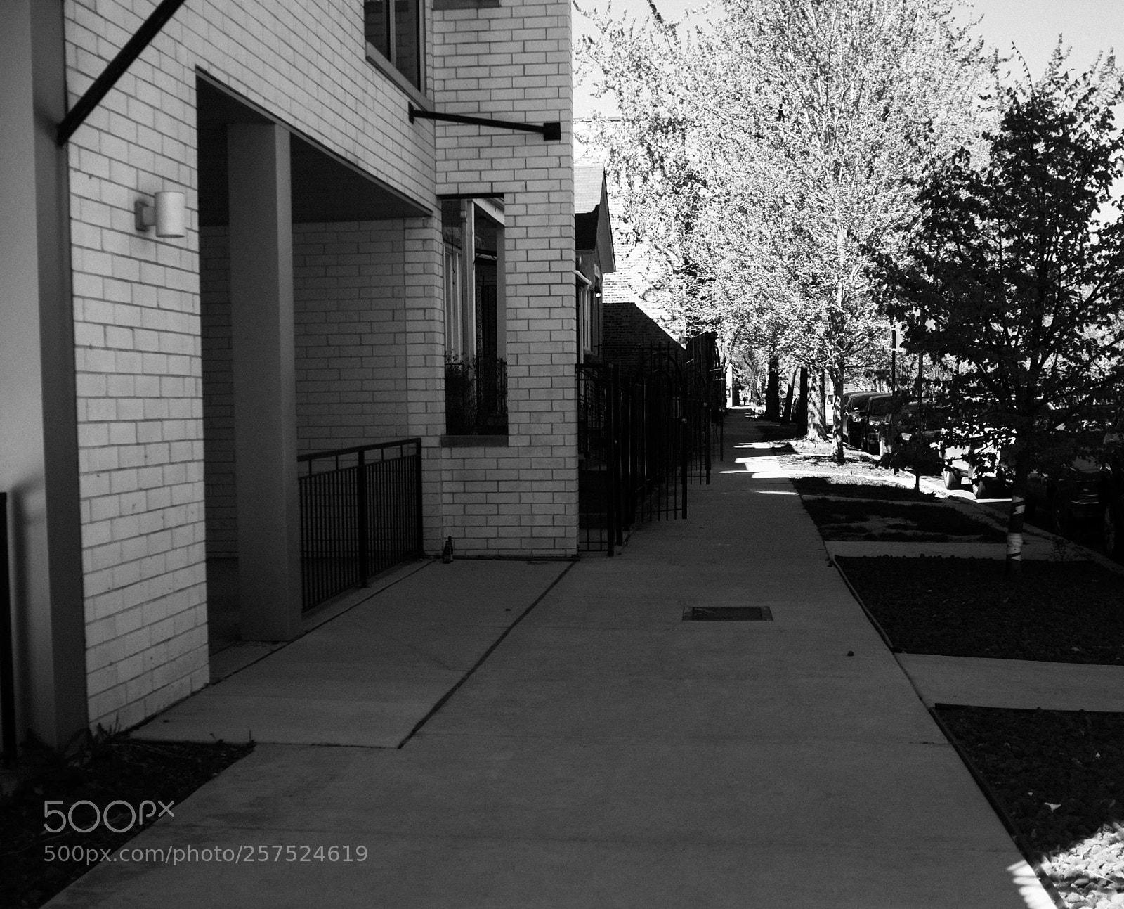 Fujifilm FinePix X100 sample photo. Damen and race photography