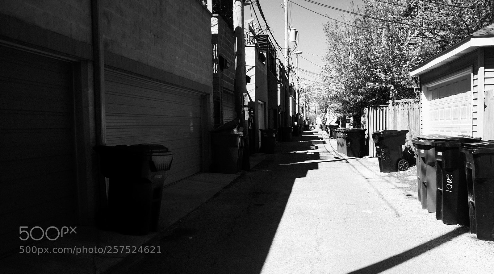 Fujifilm FinePix X100 sample photo. Alley south of damen photography