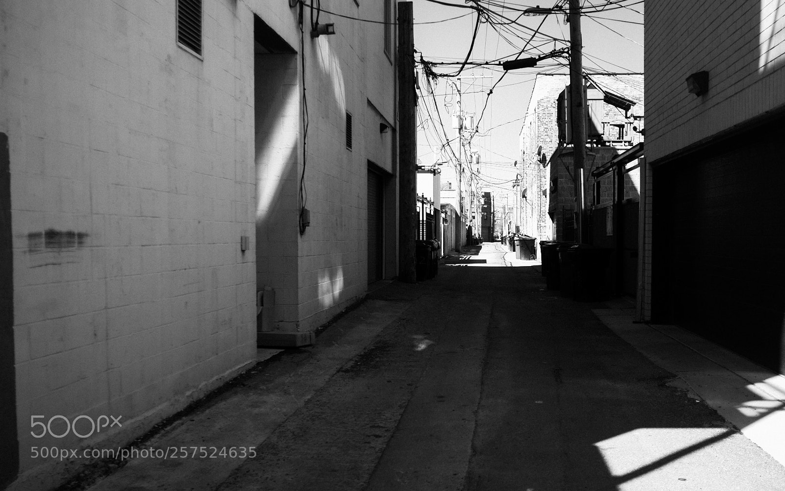 Fujifilm FinePix X100 sample photo. Alley south of damen photography