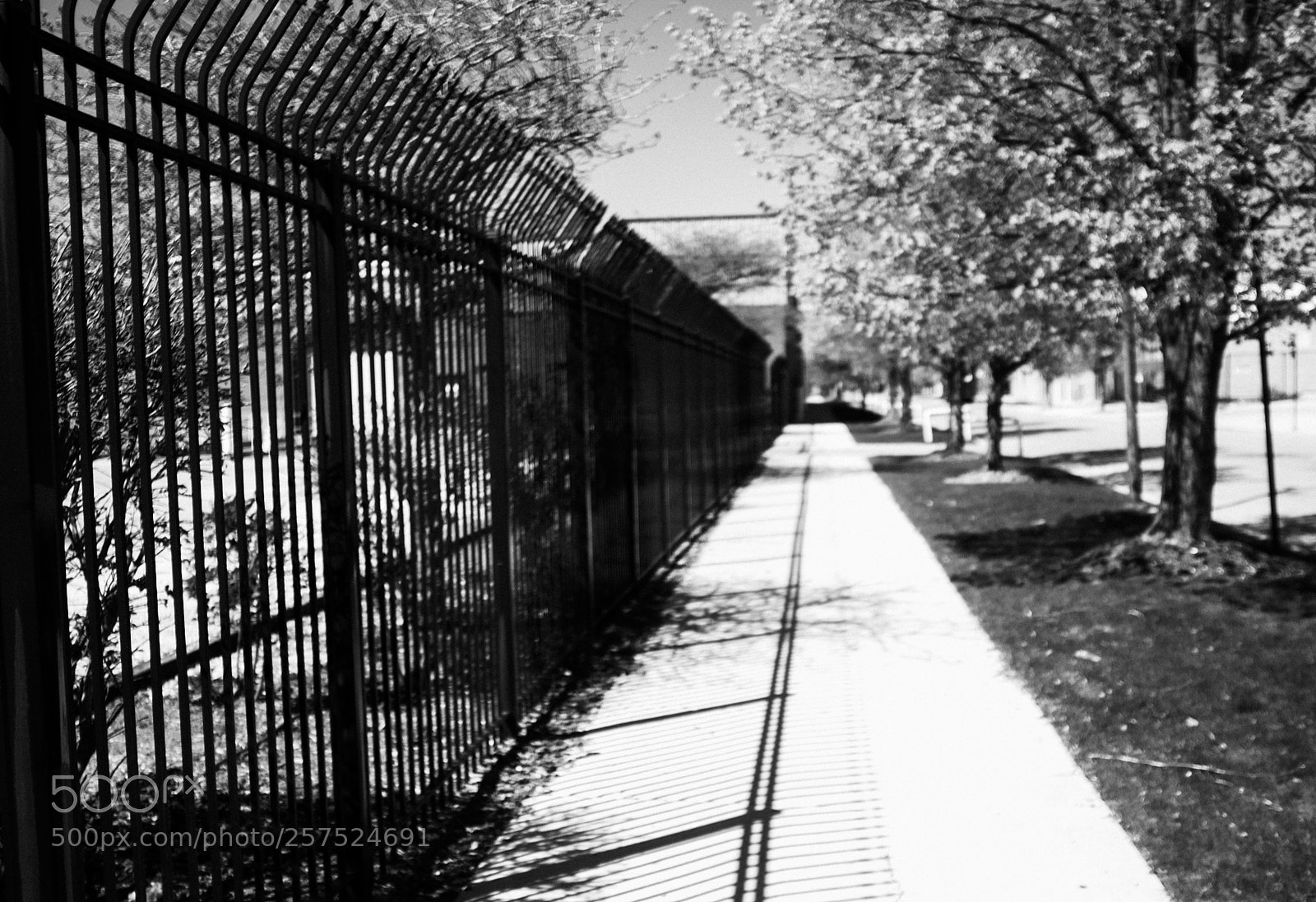 Fujifilm FinePix X100 sample photo. Damen and walnut photography