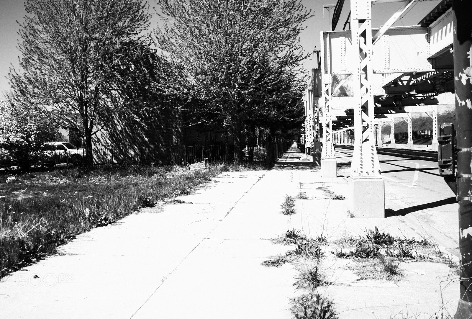 Fujifilm FinePix X100 sample photo. Damen and lake photography