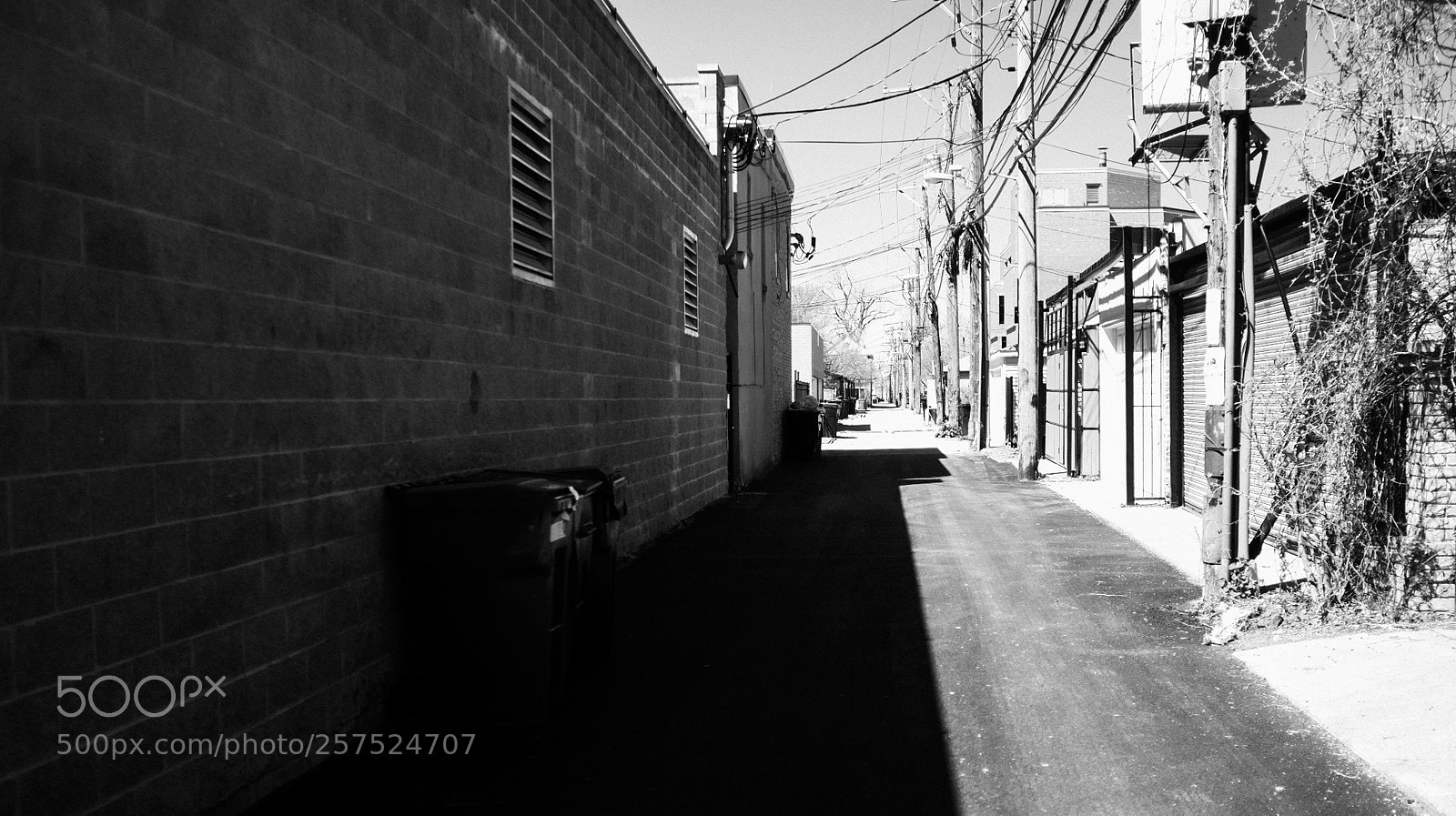 Fujifilm FinePix X100 sample photo. Alley south of damen photography