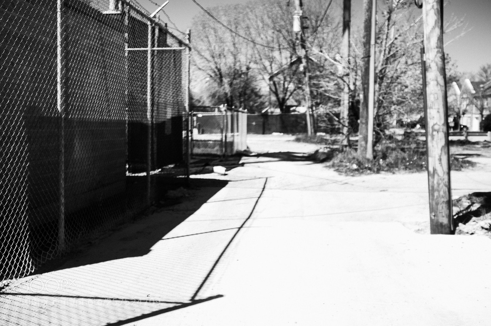 Fujifilm FinePix X100 sample photo. Alley south of damen photography