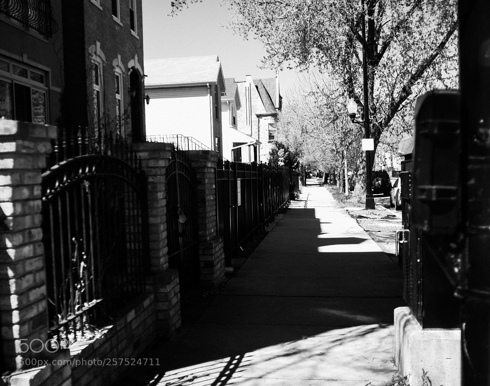 Fujifilm FinePix X100 sample photo. Damen and washington photography