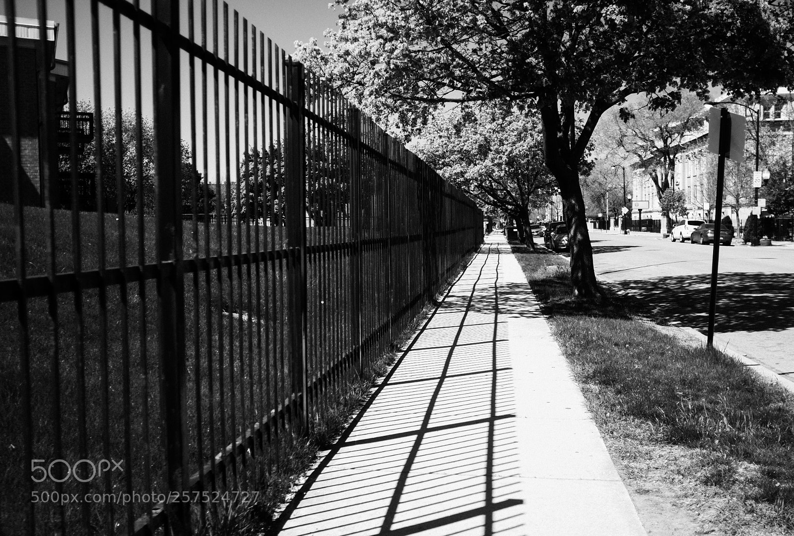 Fujifilm FinePix X100 sample photo. Damen and adams photography
