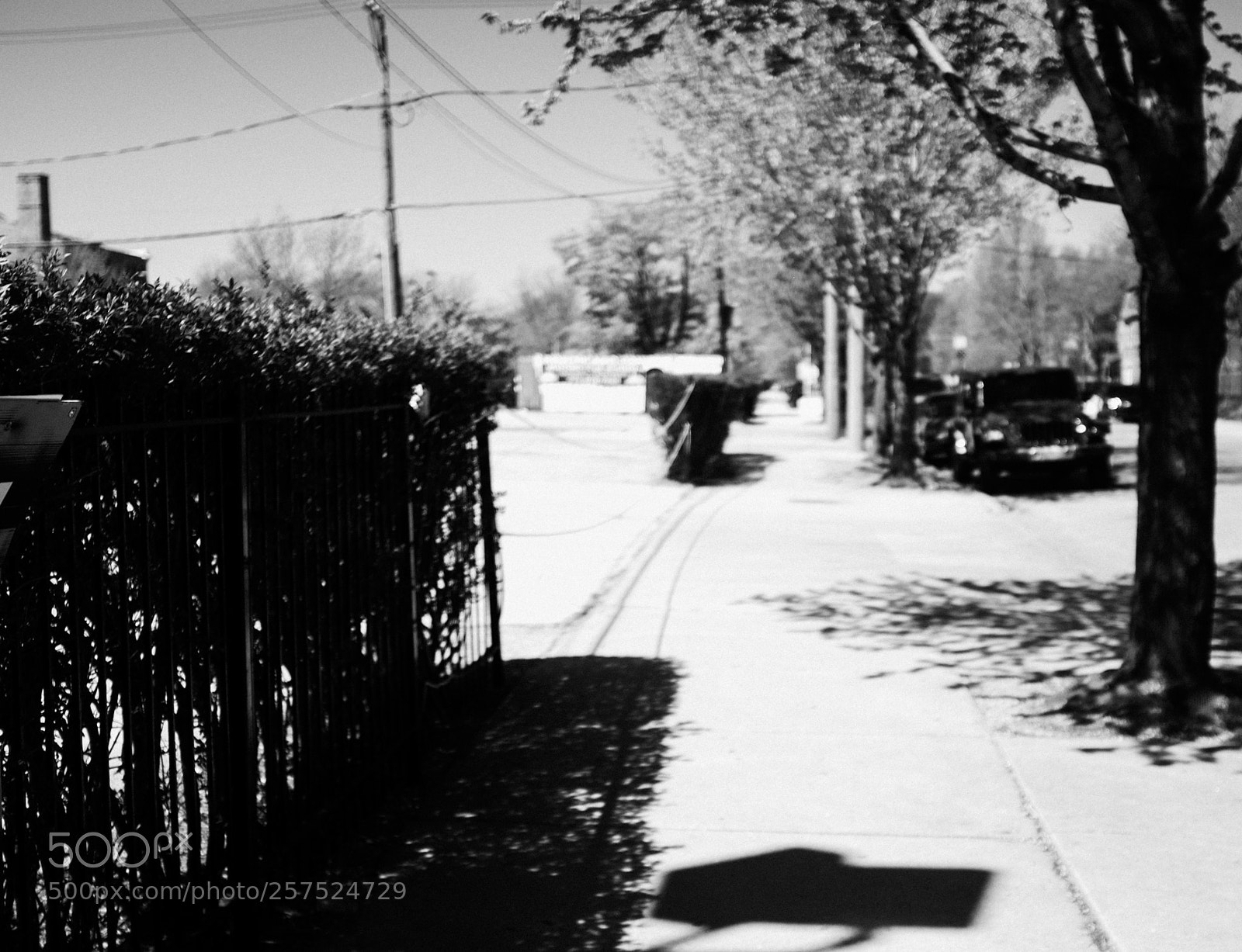 Fujifilm FinePix X100 sample photo. Damen and monroe photography