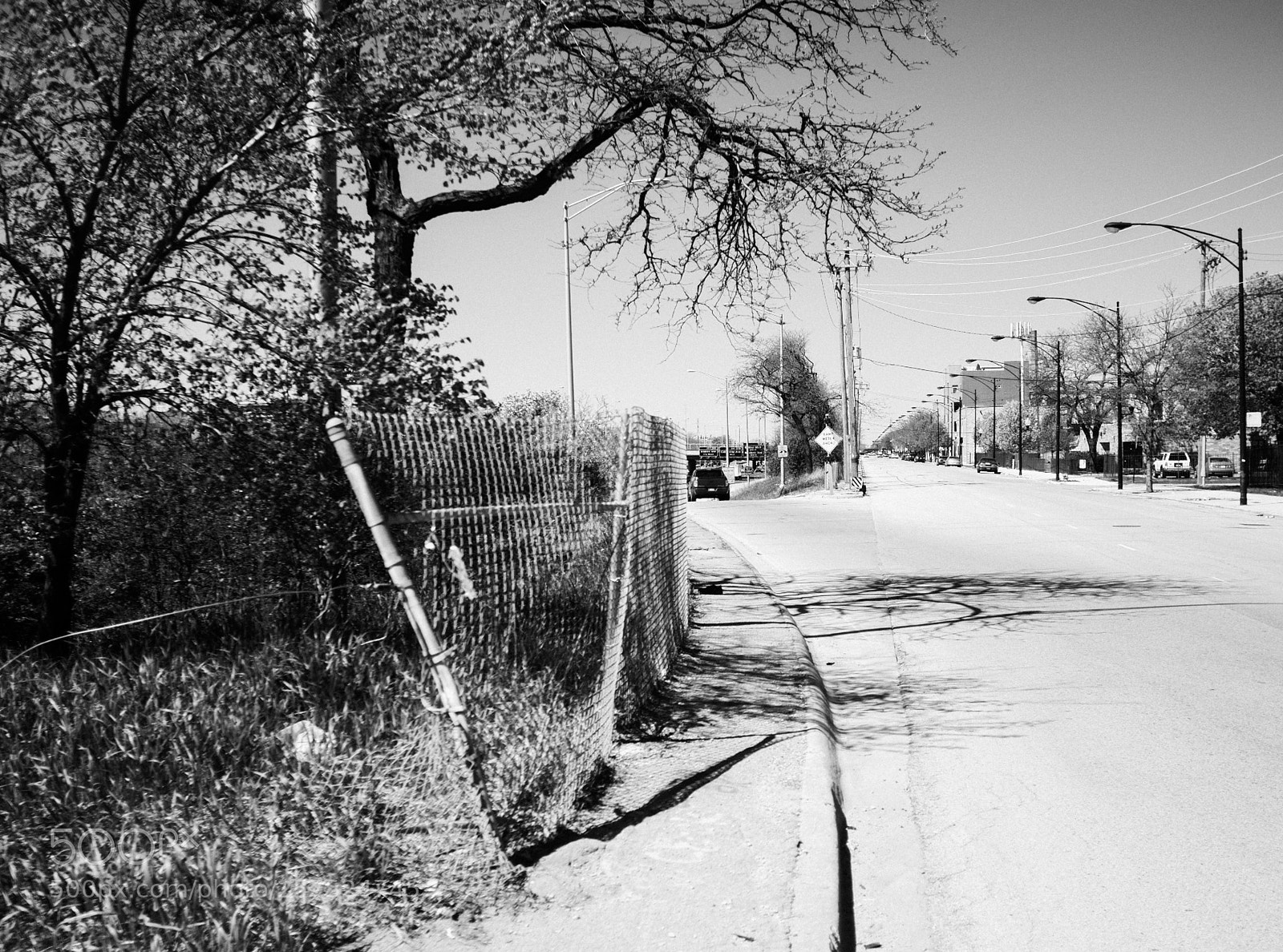 Fujifilm FinePix X100 sample photo. Damen and van buren photography