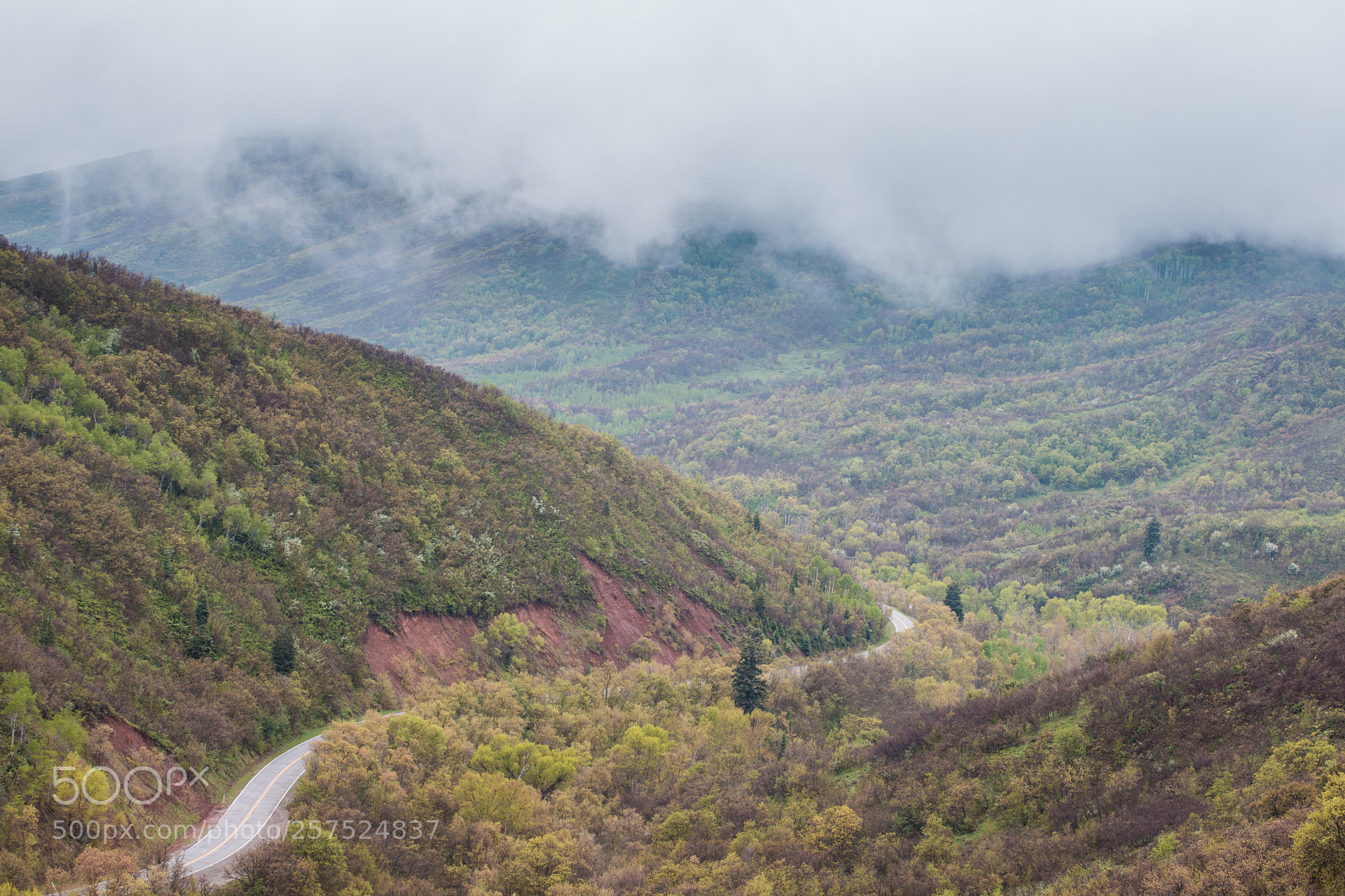 Canon EOS 6D Mark II sample photo. Fog in east canyon photography