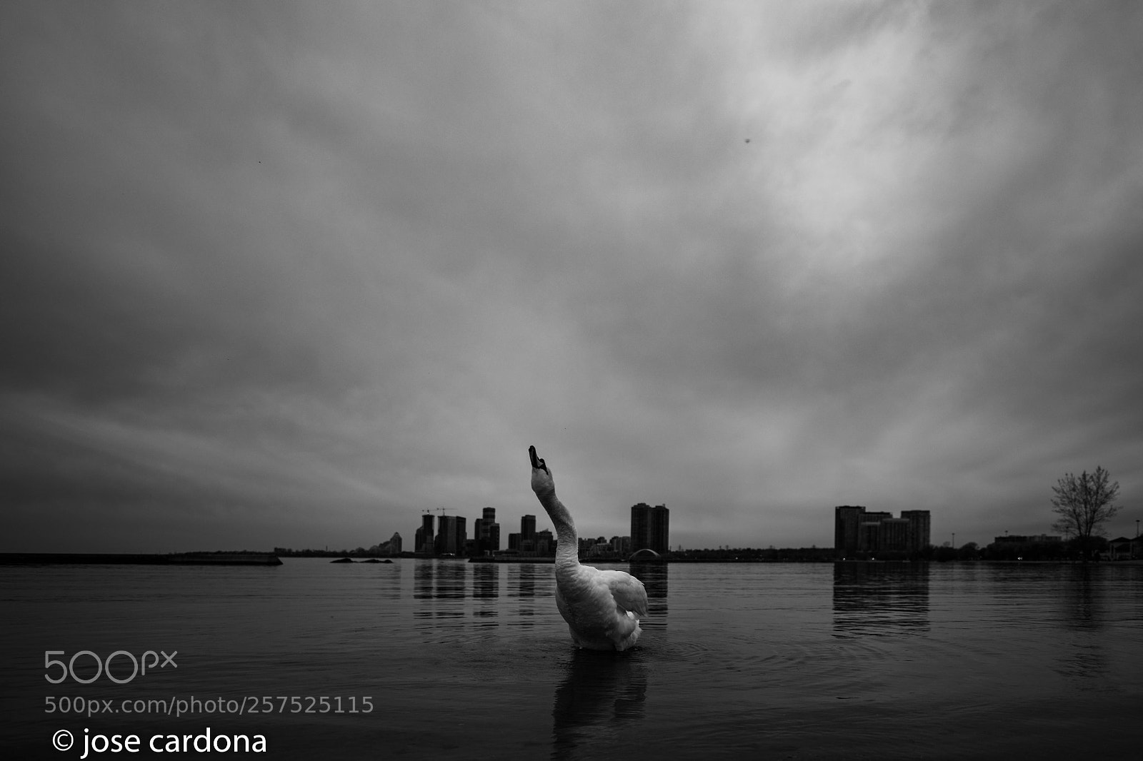 Nikon D850 sample photo. Lake photography