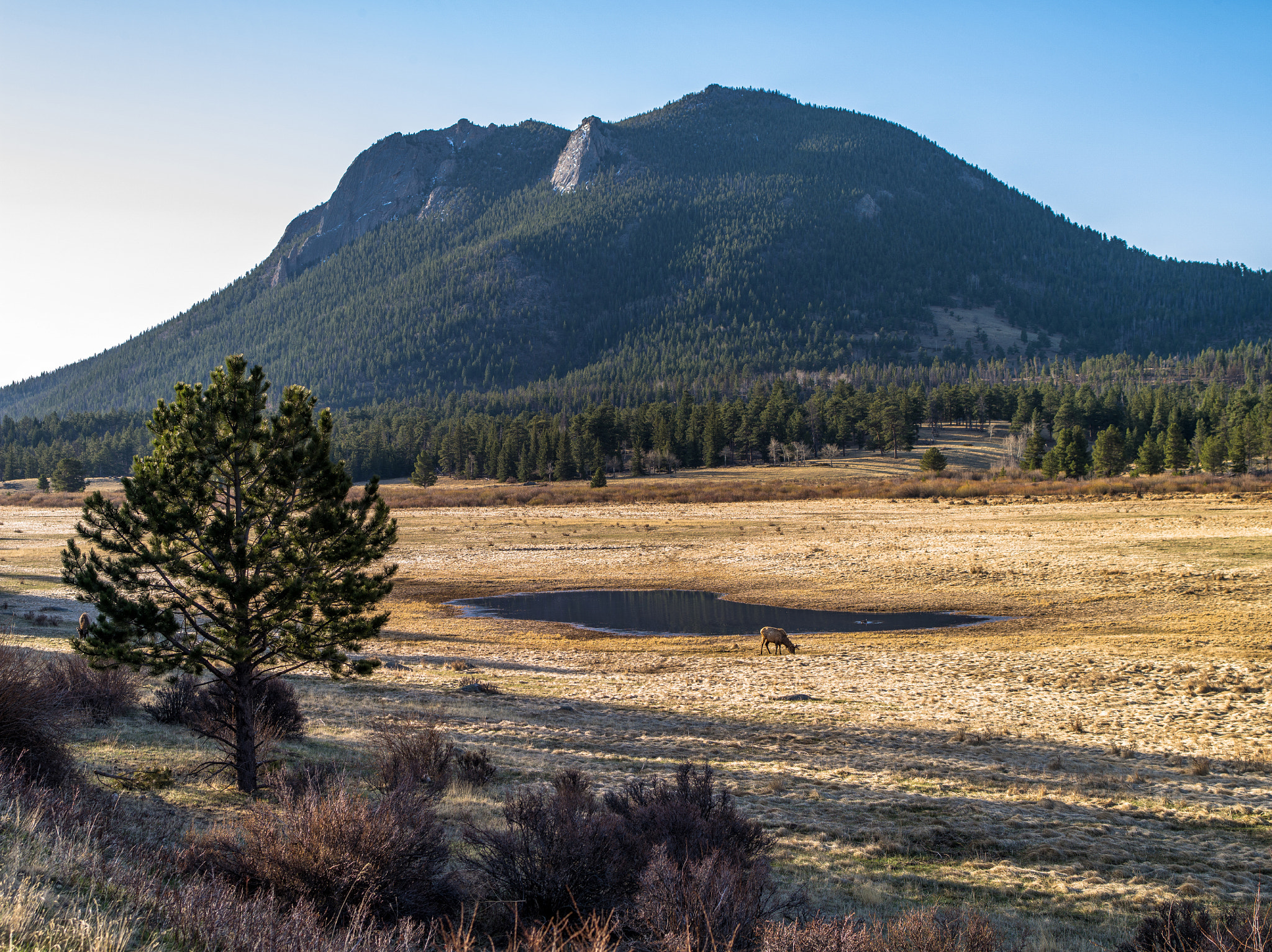 Pentax 645D sample photo. Early spring morning photography