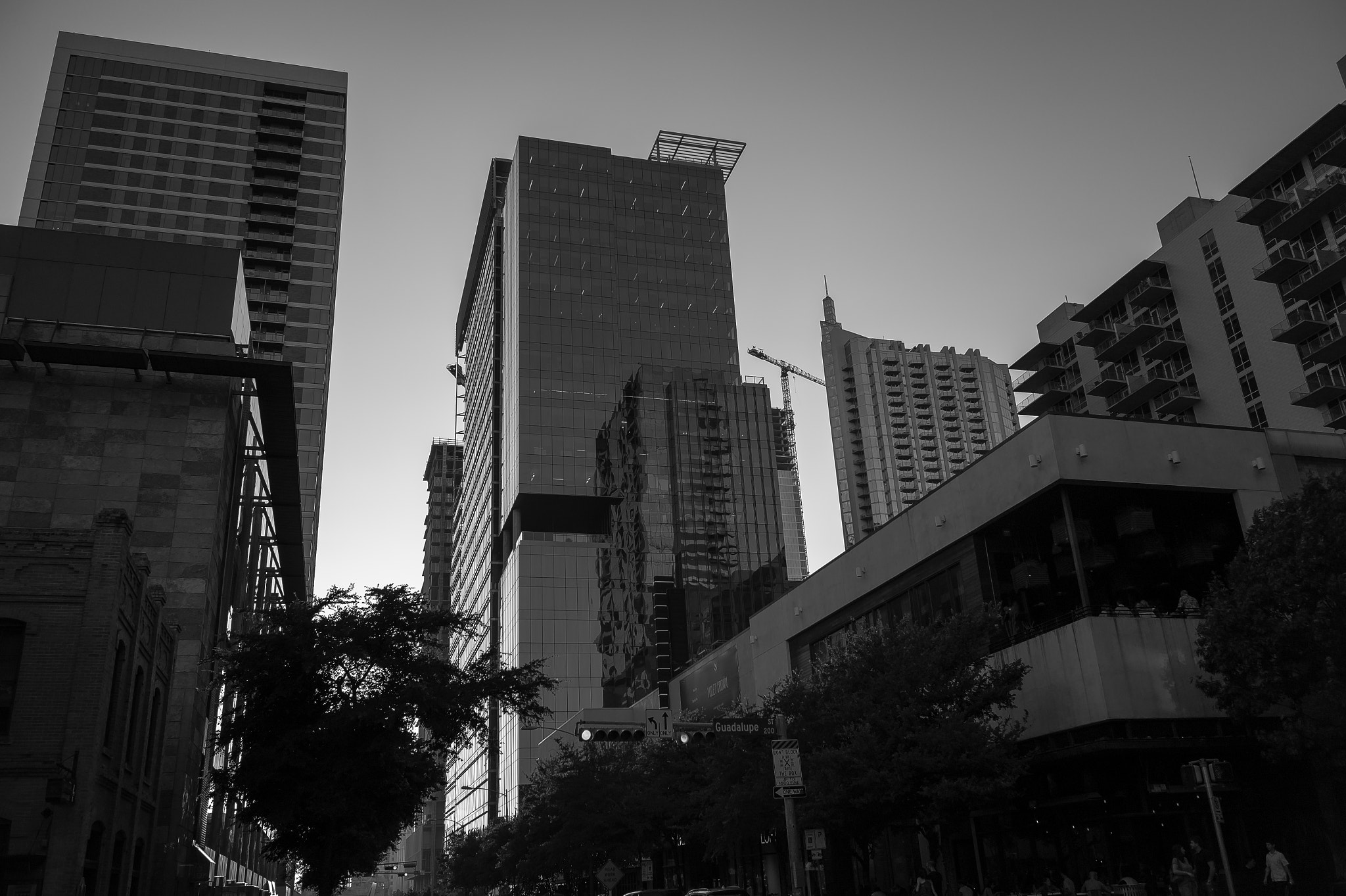 Leica M9 sample photo. Tall photography