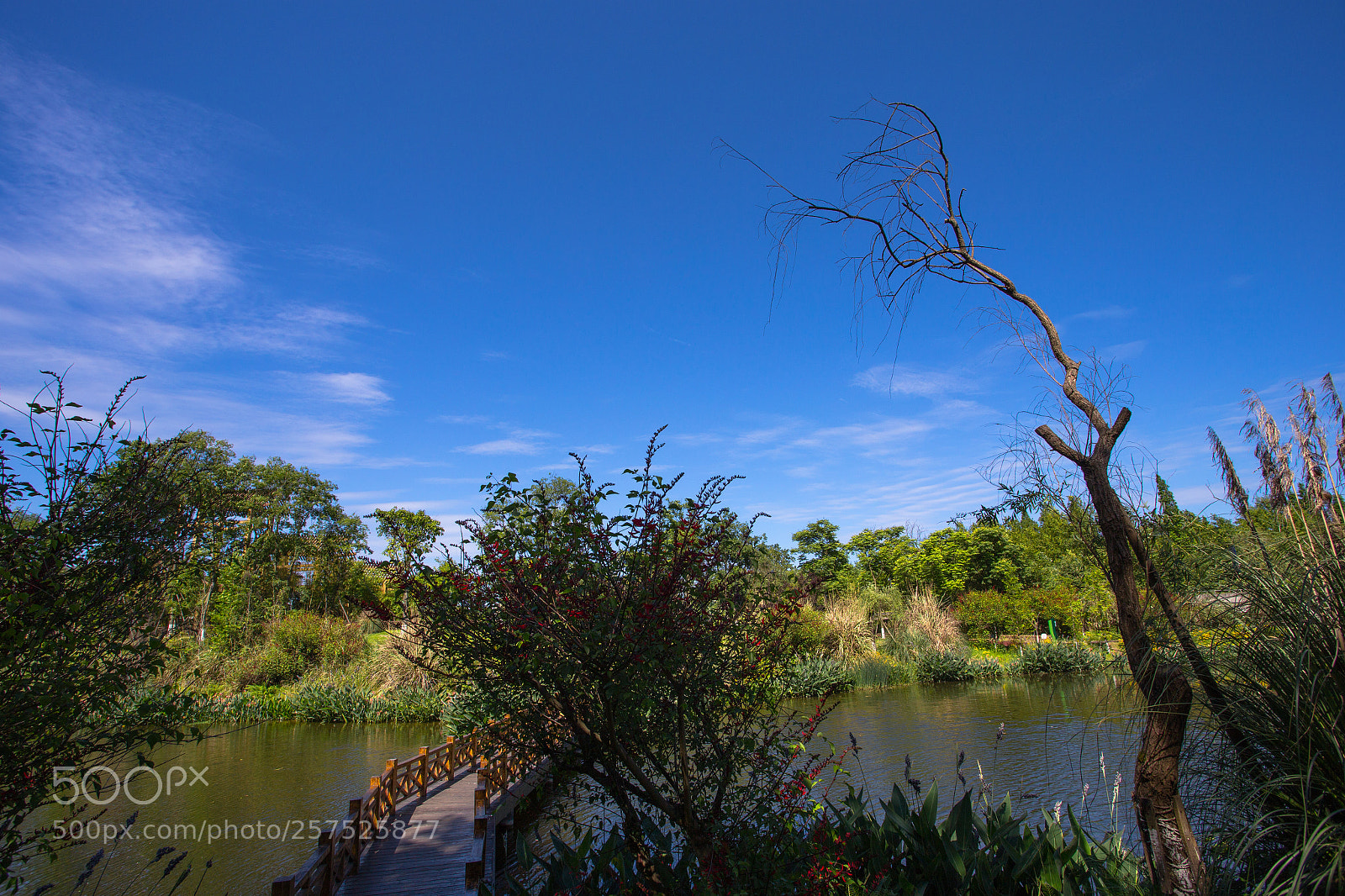 Canon EOS 6D sample photo. Untitled photography