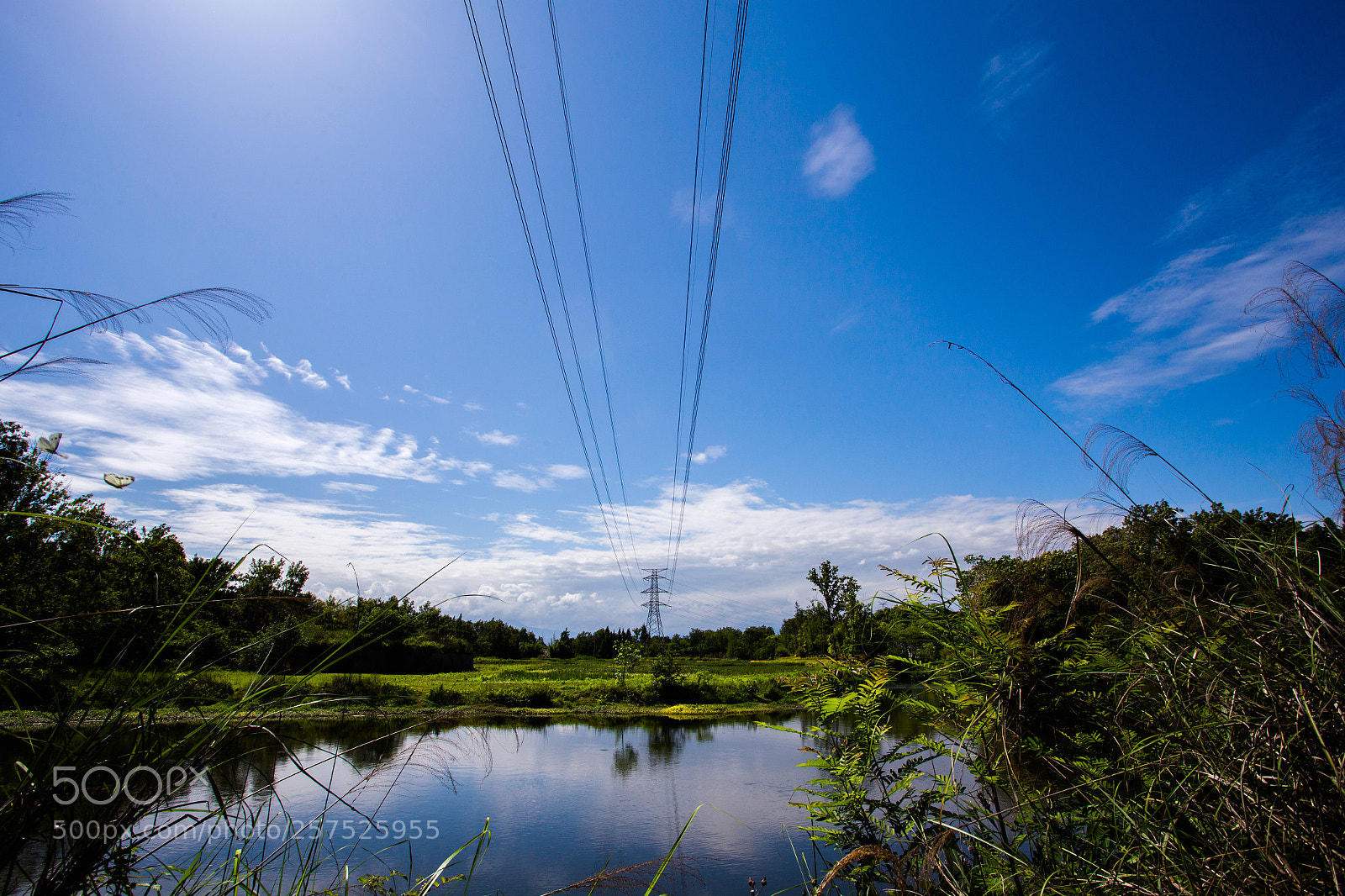 Canon EOS 6D sample photo. Untitled photography