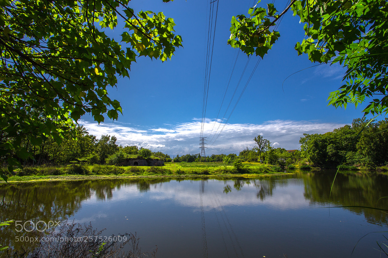 Canon EOS 6D sample photo. Untitled photography
