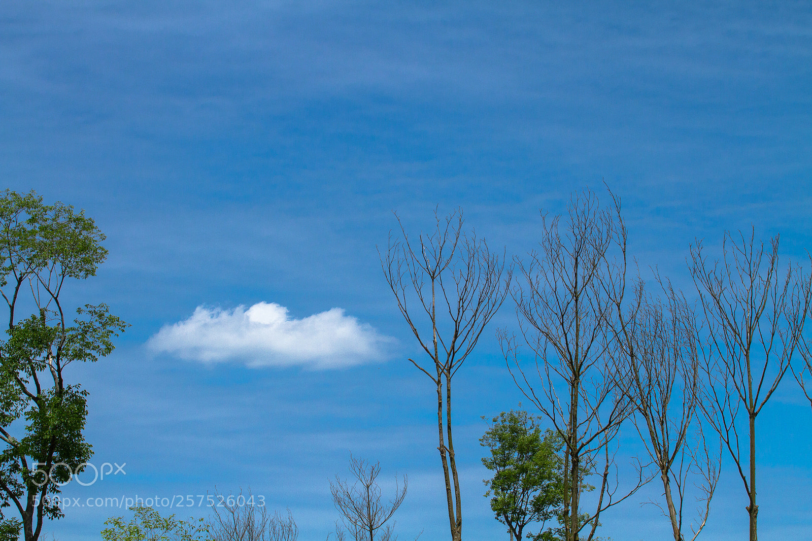 Canon EOS 7D sample photo. Untitled photography
