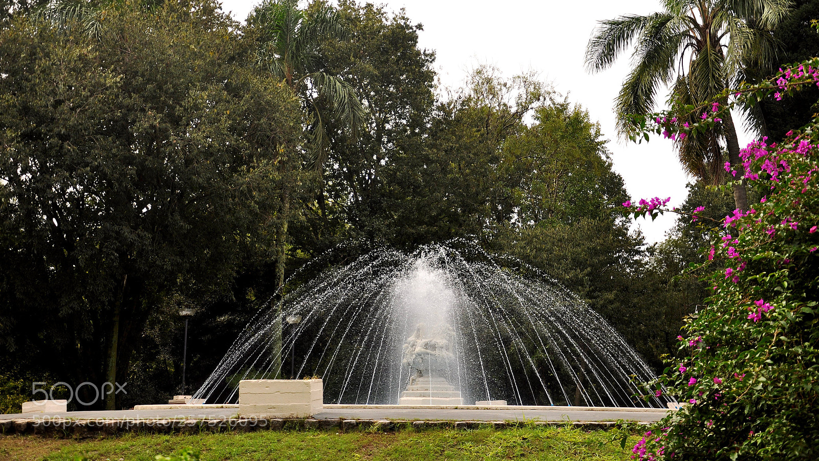 Nikon D90 sample photo. Park photography