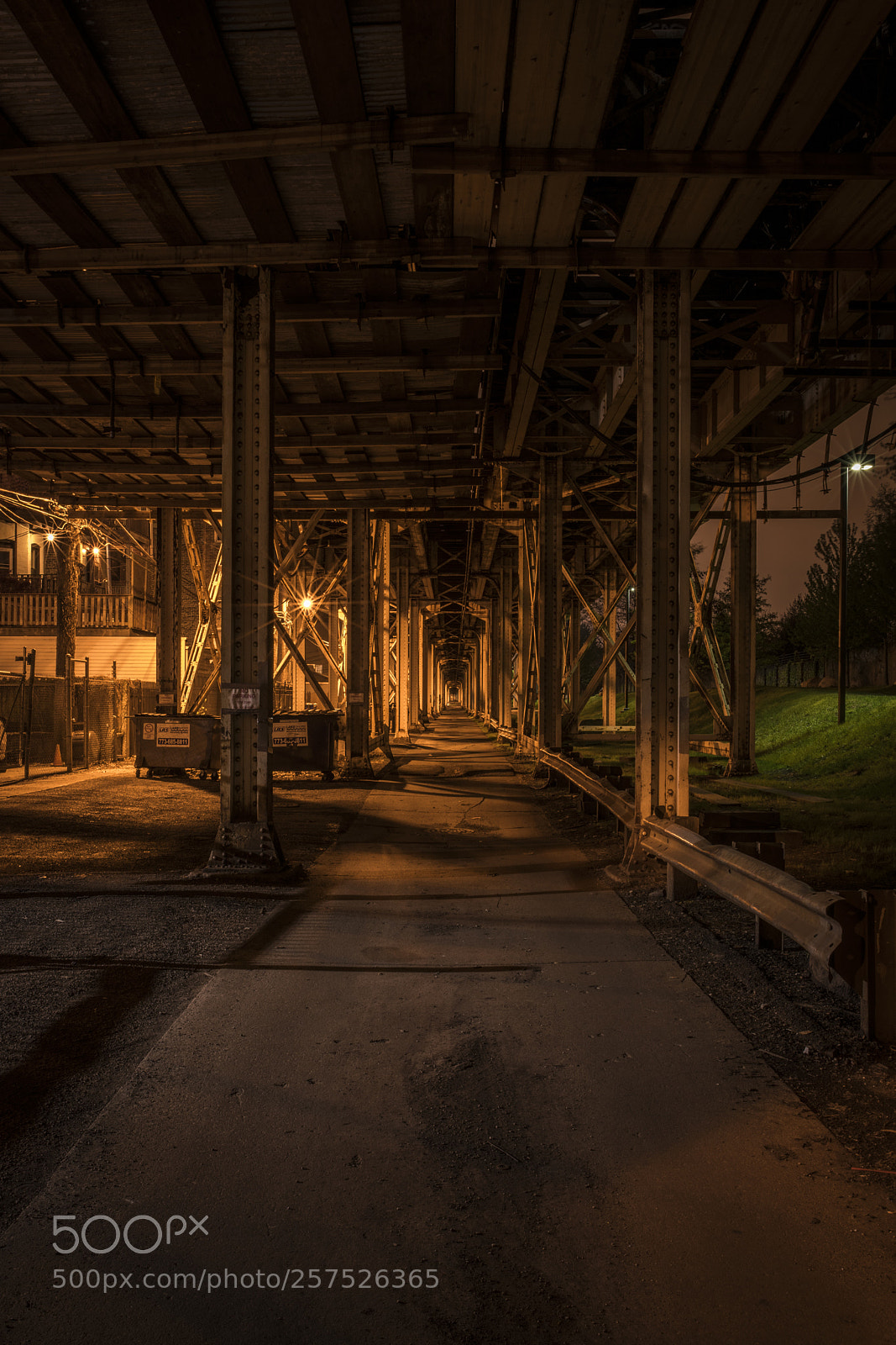 Nikon D850 sample photo. What lurks beneath the photography