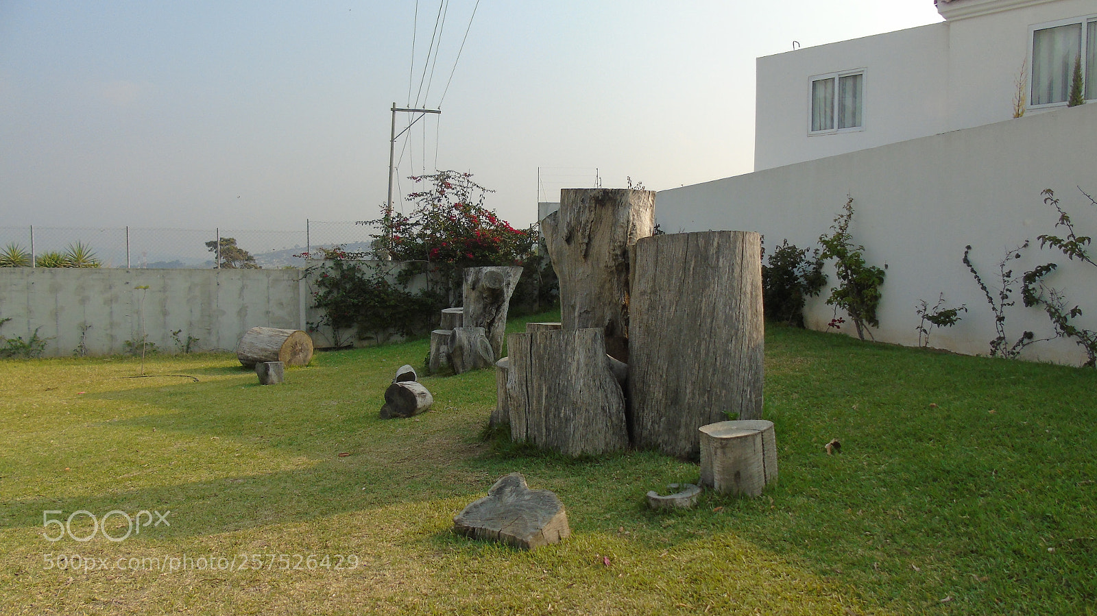 Sony Cyber-shot DSC-H400 sample photo. Dsc photography