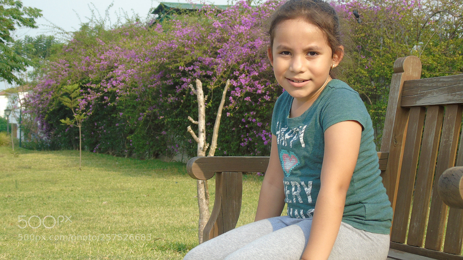 Sony Cyber-shot DSC-H400 sample photo. Ley de tercios photography