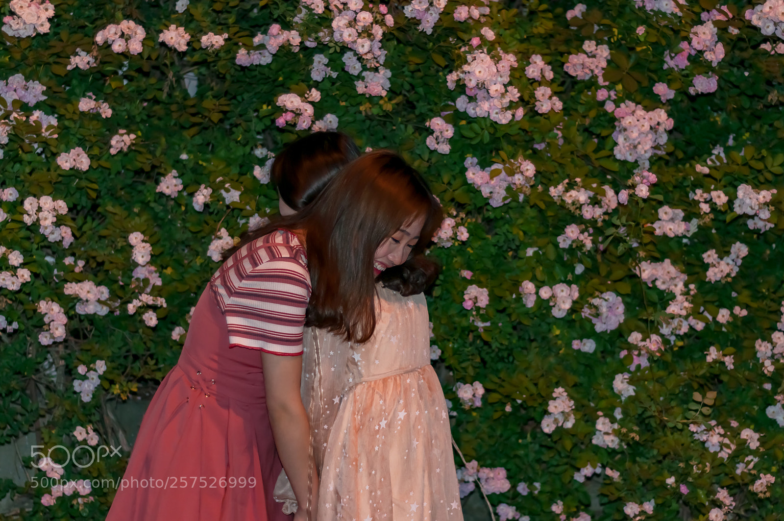 Nikon D90 sample photo. 拷贝 photography
