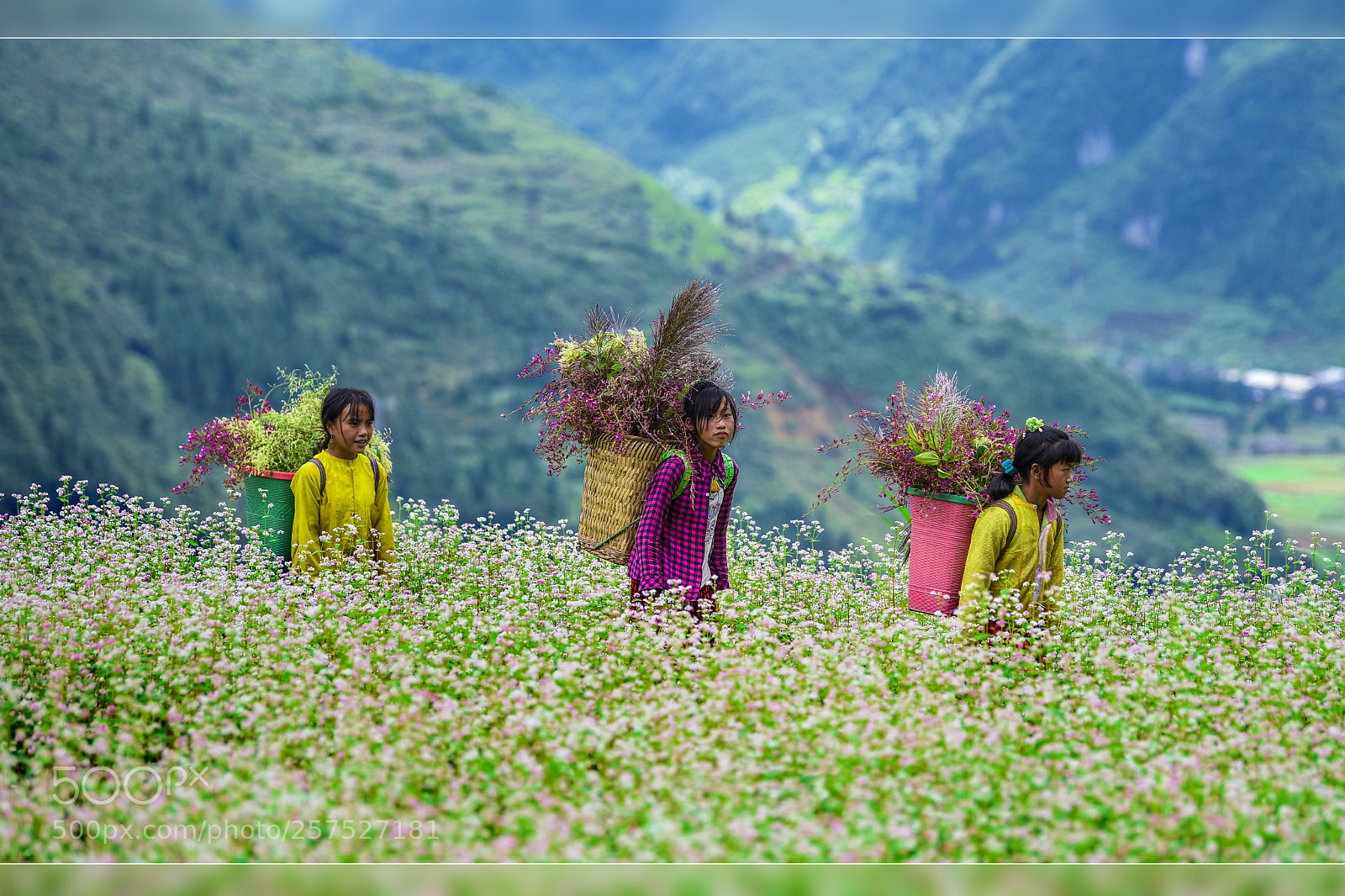Nikon D810 sample photo. Mother land photography