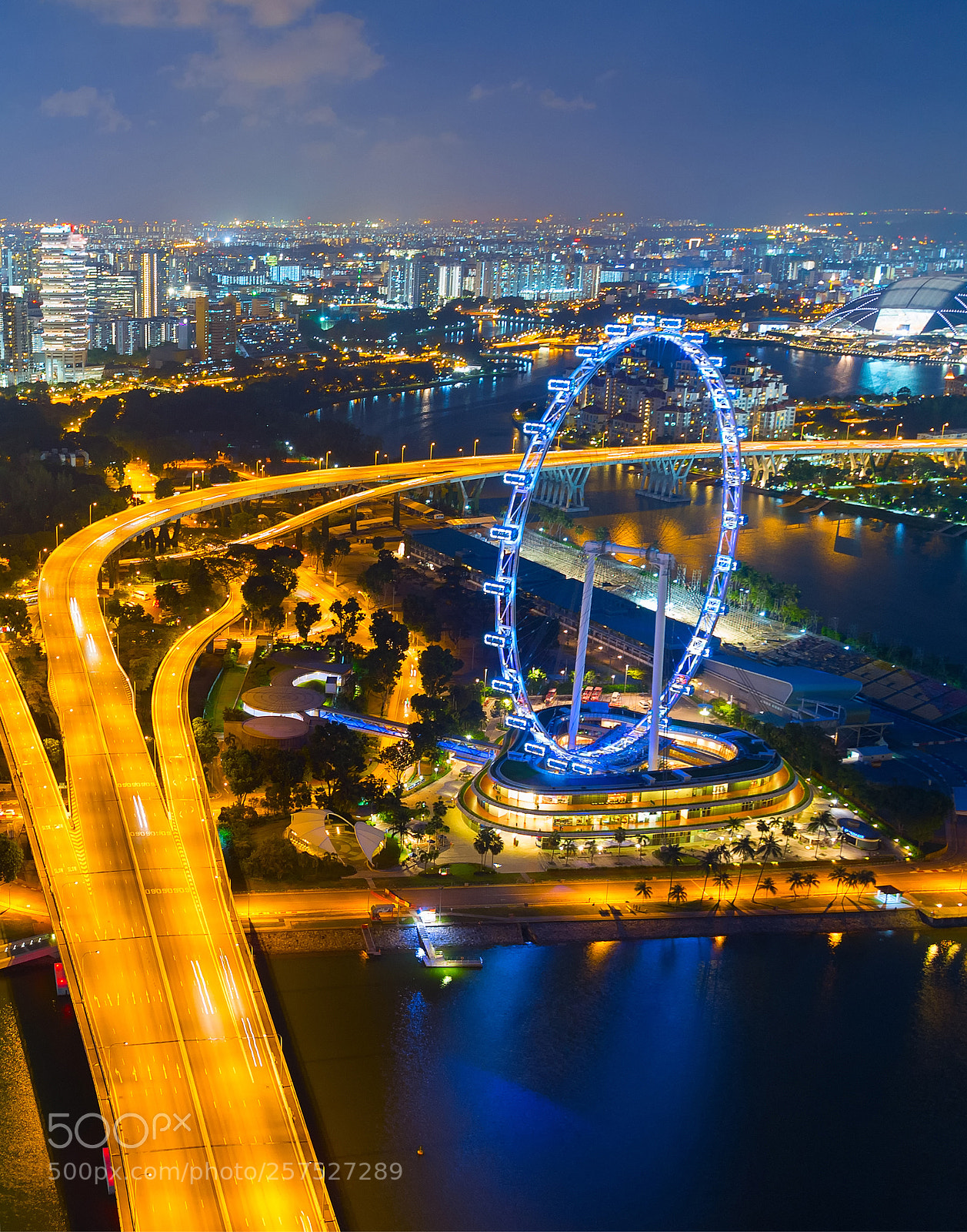 Nikon Df sample photo. Singapore ferries wheel, aerial photography