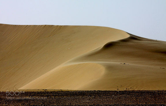 Canon EOS 50D sample photo. Dunes photography