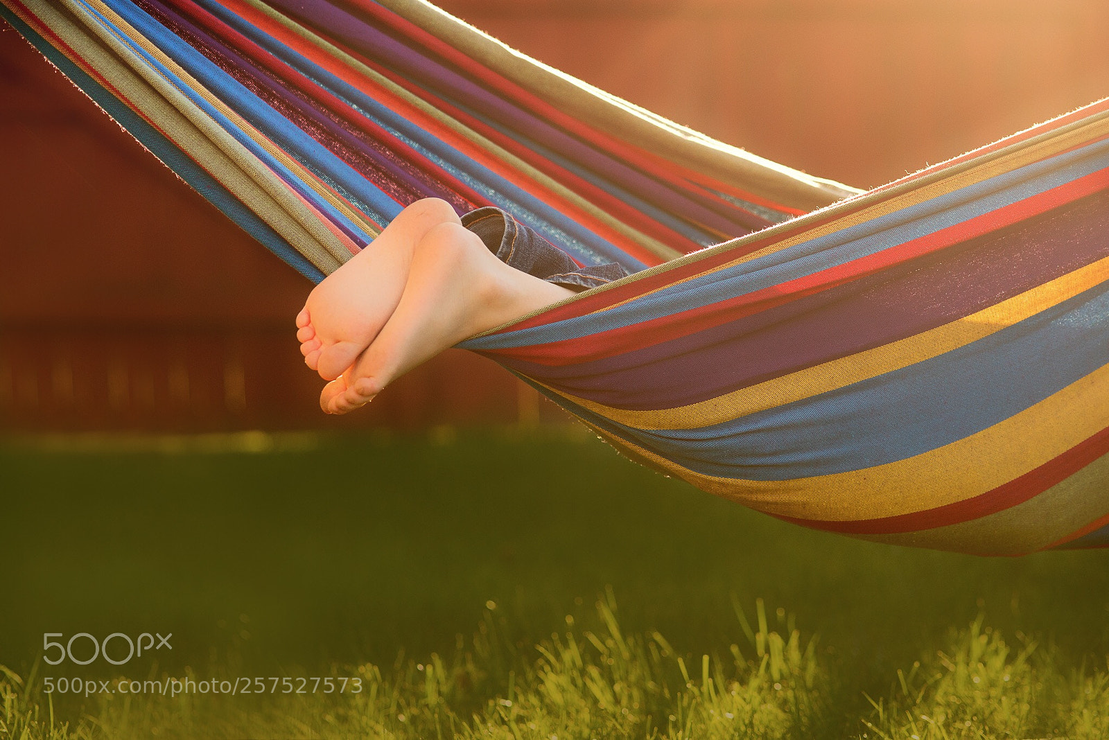 Nikon D600 sample photo. Hammock season photography