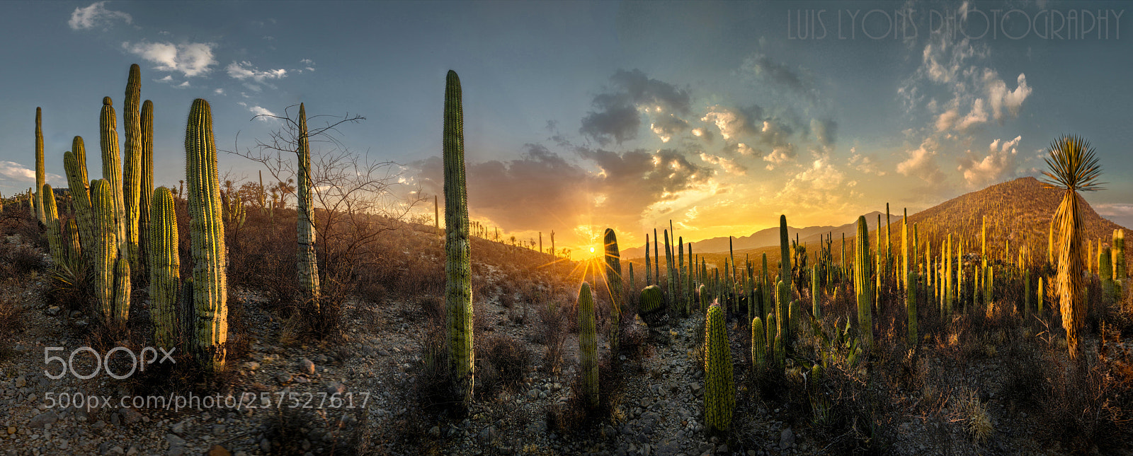 Nikon D5500 sample photo. Last sunlight tetechos photography