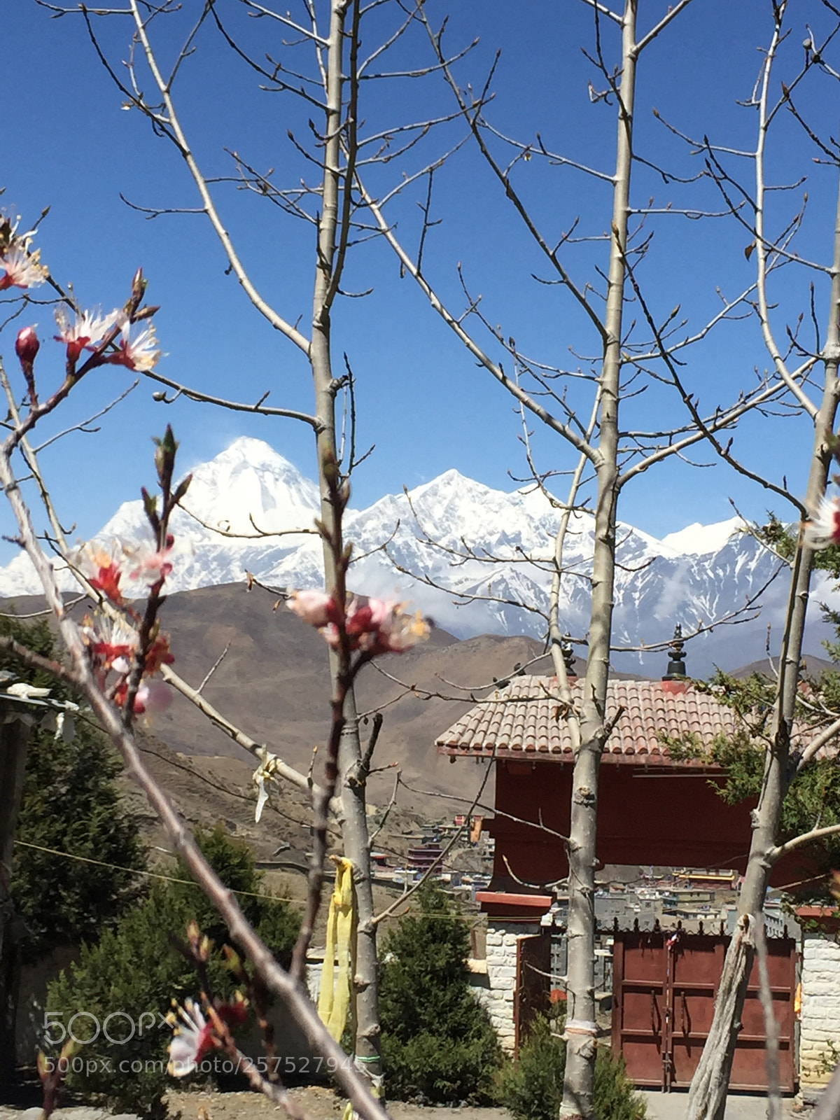 Apple iPhone 6 Plus sample photo. Mt dhaulagiri 8169m west photography