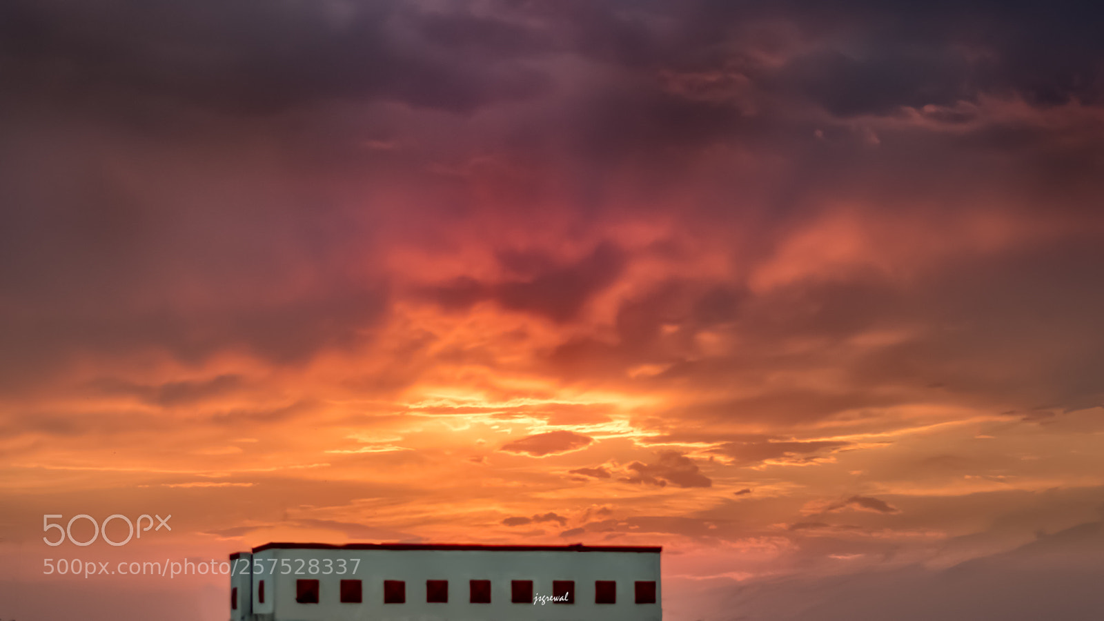 Nikon D5500 sample photo. Nature photography