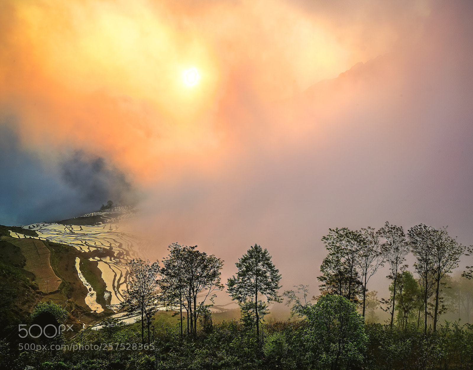 Sony a7R II sample photo. Sunrise over terraced fields. photography