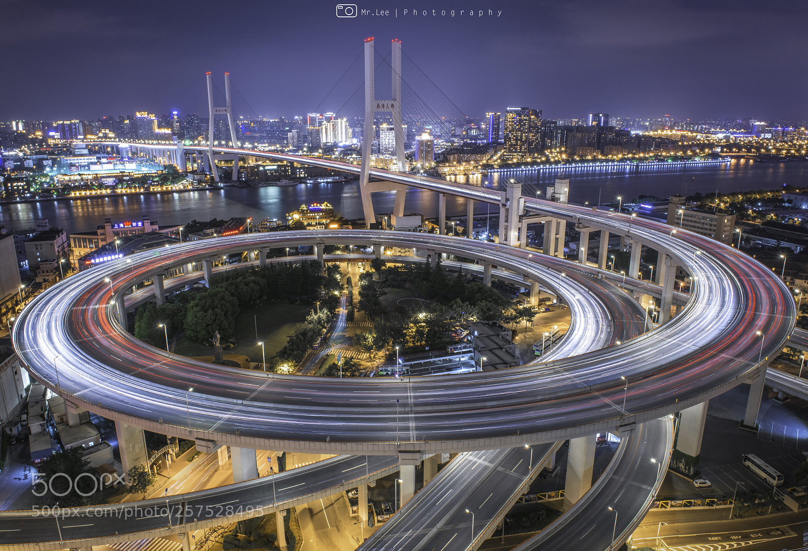 Nikon D800 sample photo. Nanpu bridge photography