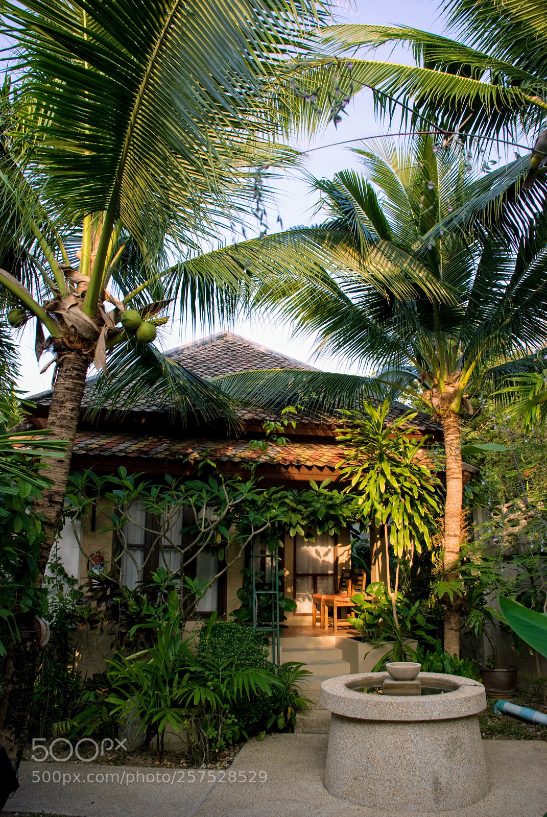 Nikon D80 sample photo. Tropical bungalow  photography