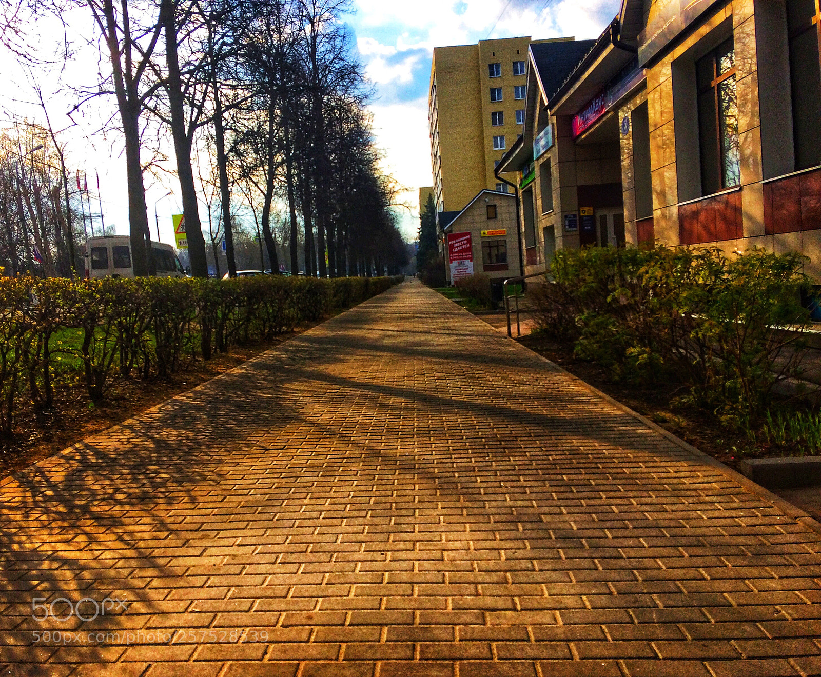 Apple iPhone 5s sample photo. Untitled photography