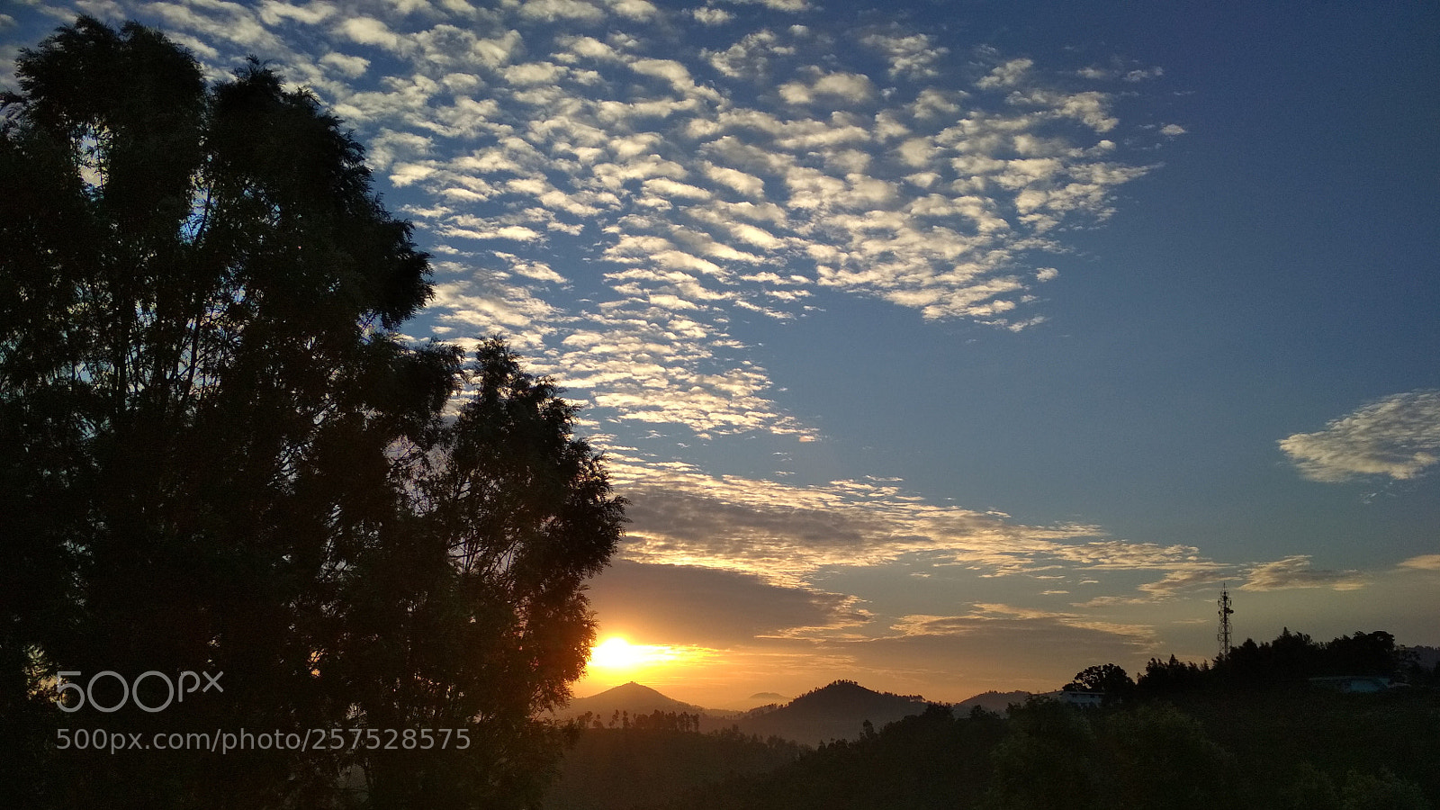 Xiaomi Redmi 4 Pro sample photo. Untitled photography