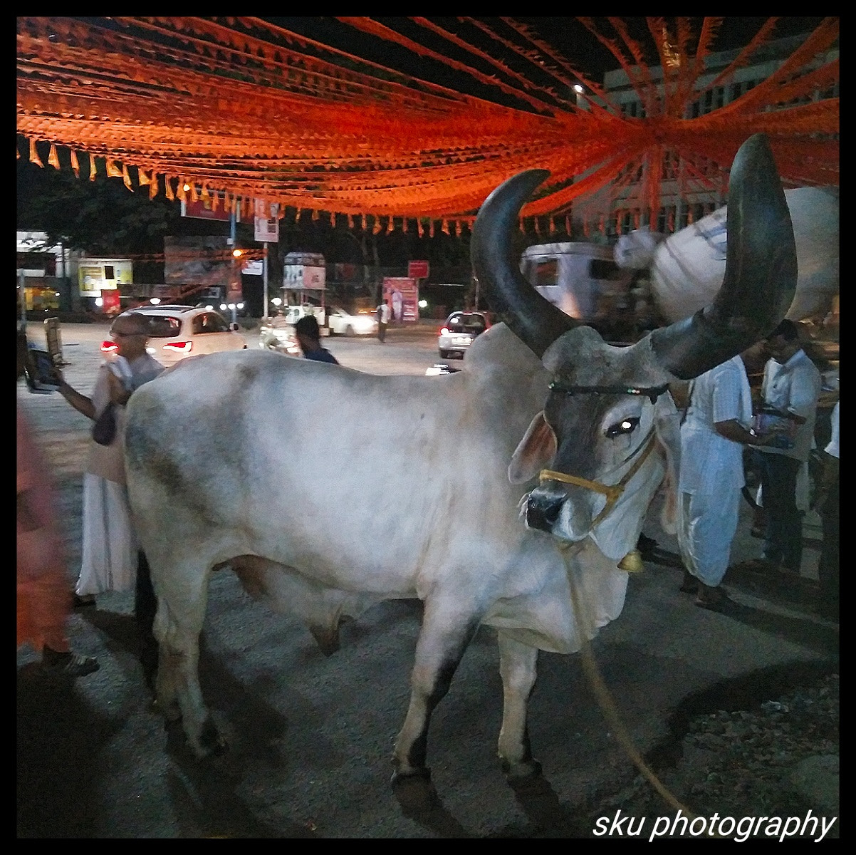 OnePlus ONE E1003 sample photo
