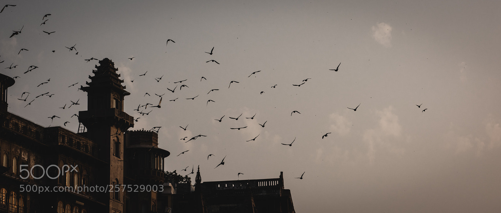 Nikon D810 sample photo. Varanasi photography