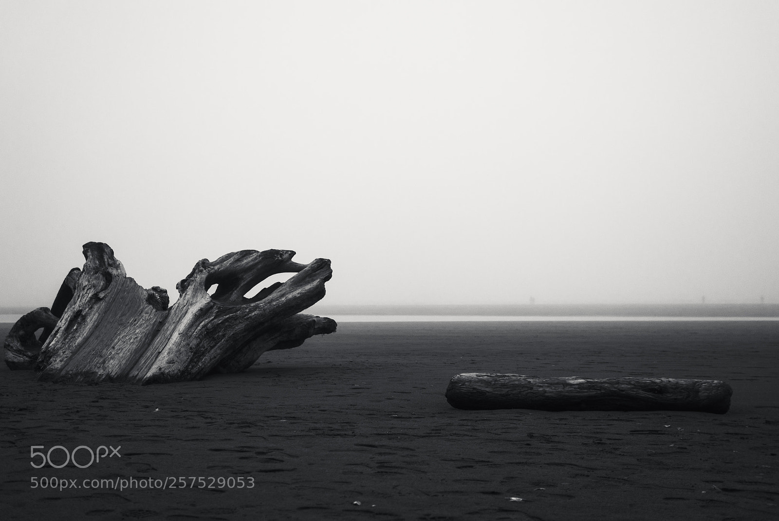 Sony a7S sample photo. Beachfront installation photography
