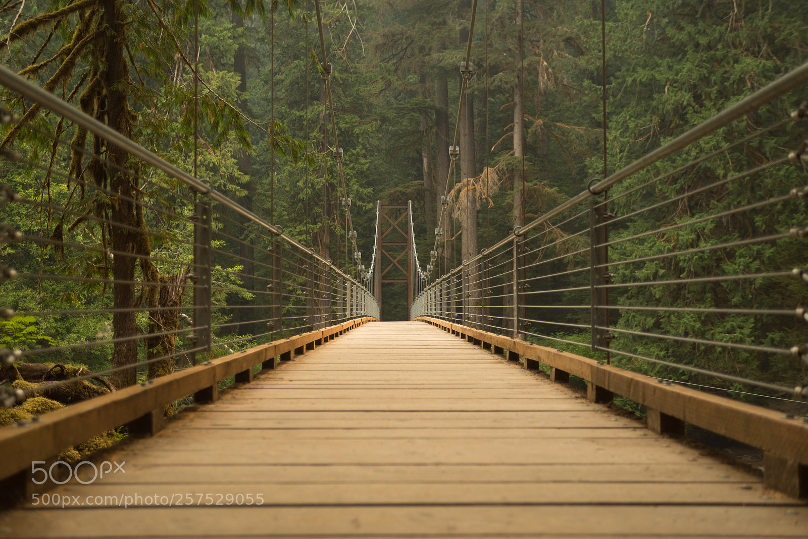 Sony a7S sample photo. Bridge to adventure photography