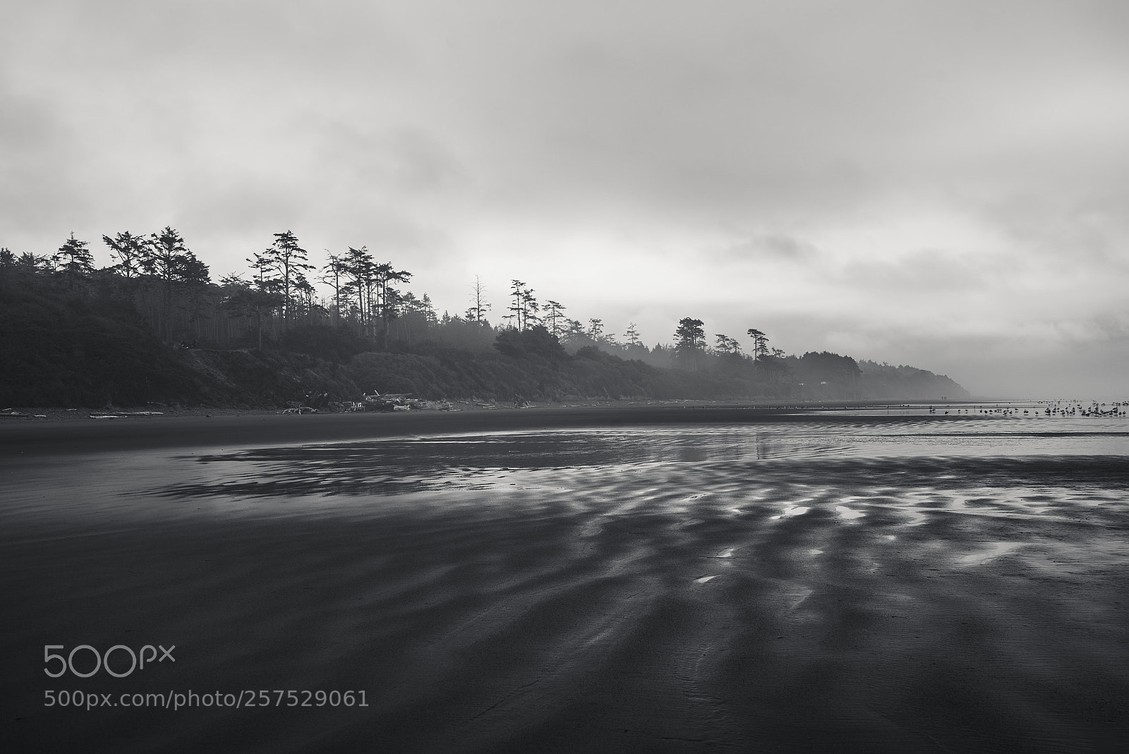 Sony a7S sample photo. Coastal lines photography