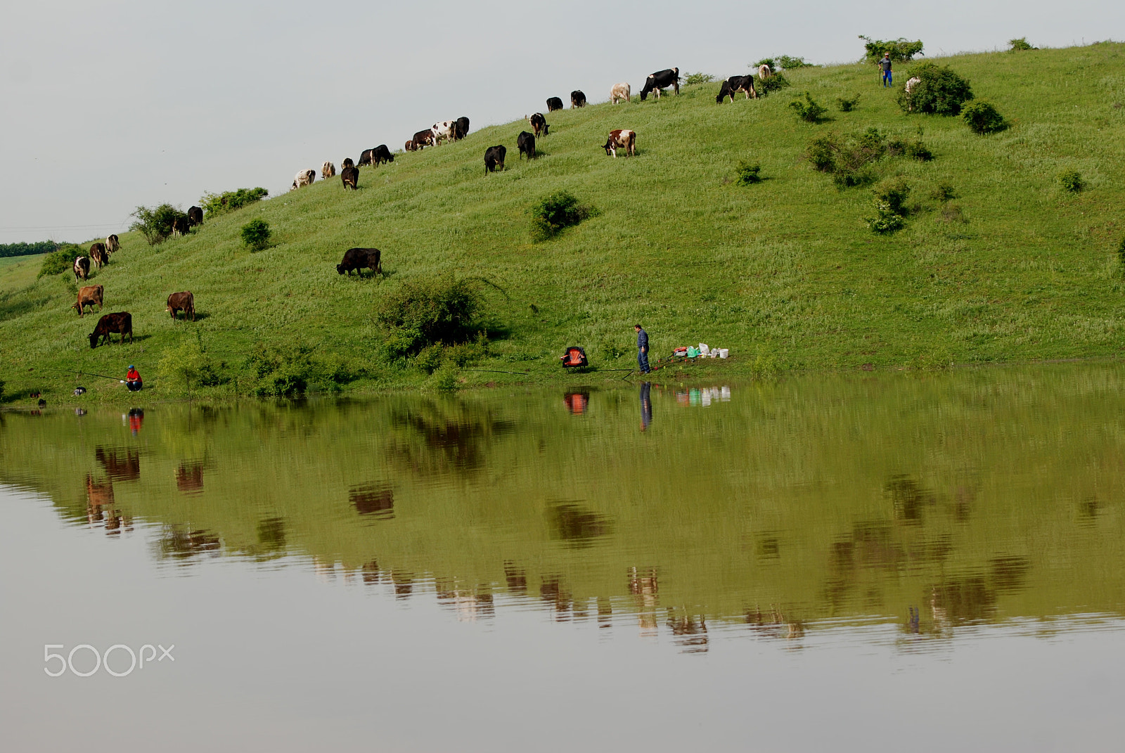 Nikon D80 sample photo. Lake brake photography