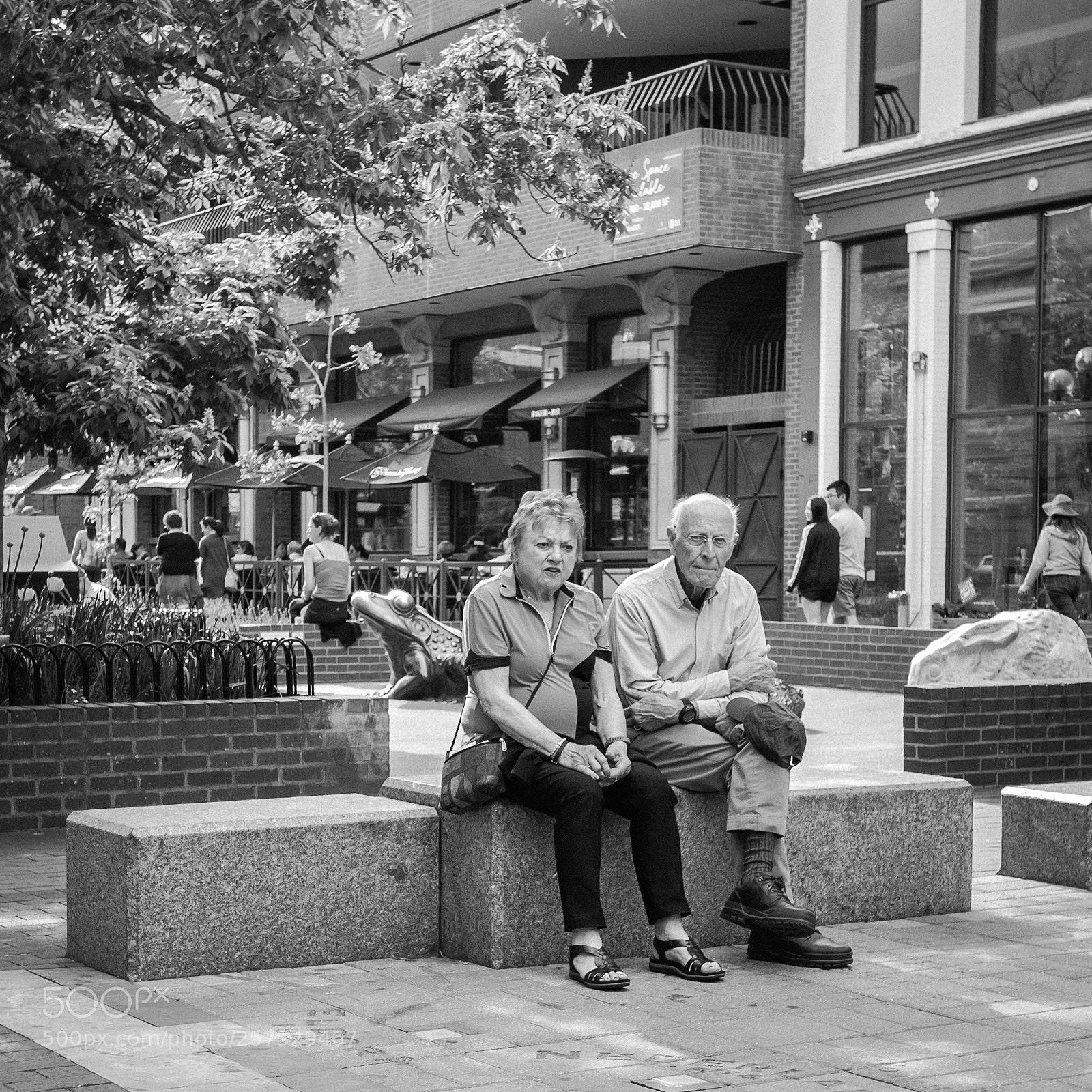 Panasonic Lumix DMC-GX85 (Lumix DMC-GX80 / Lumix DMC-GX7 Mark II) sample photo. Watching the world go photography