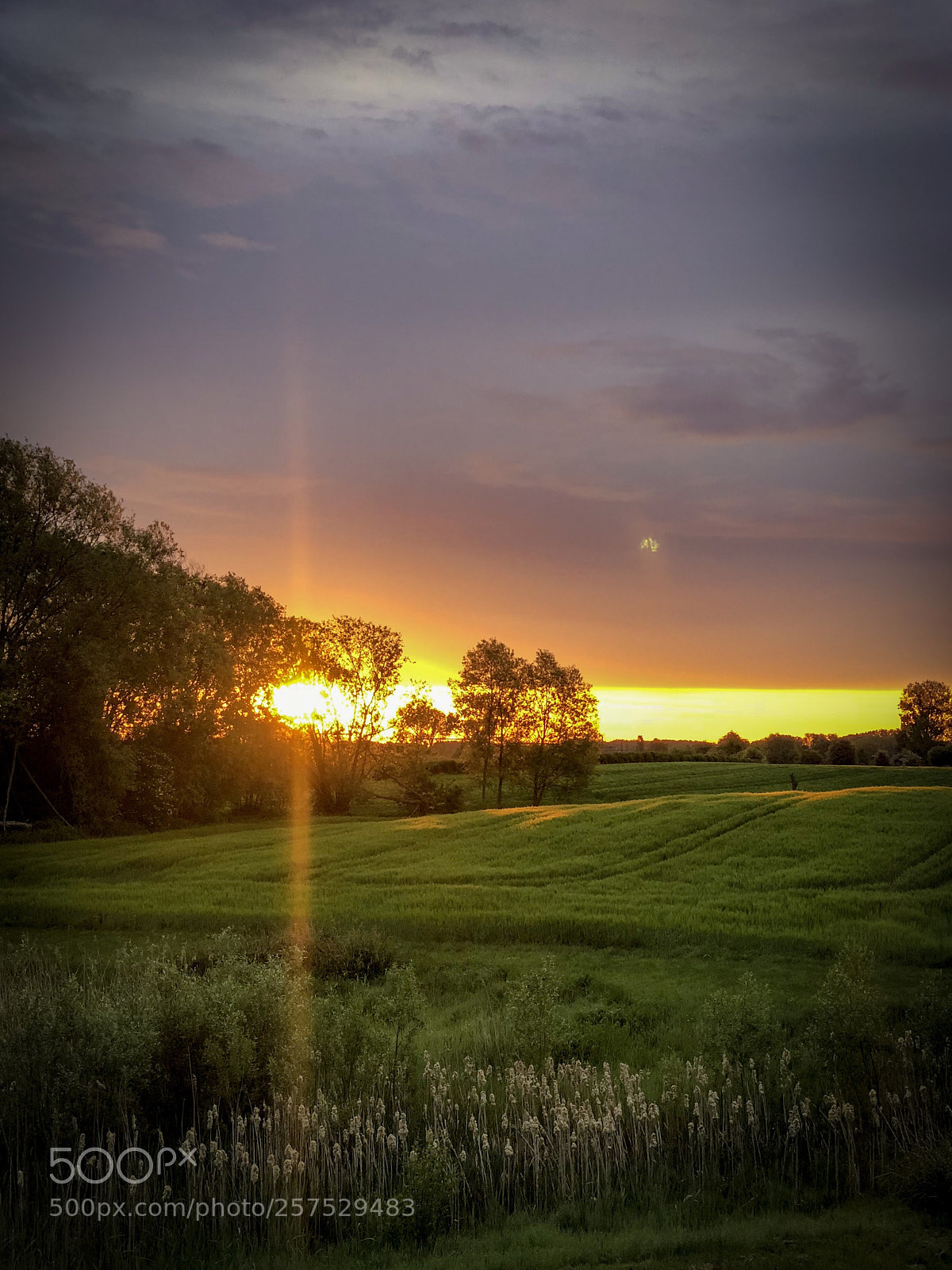 Apple iPhone X sample photo. Sunflare sunrise photography