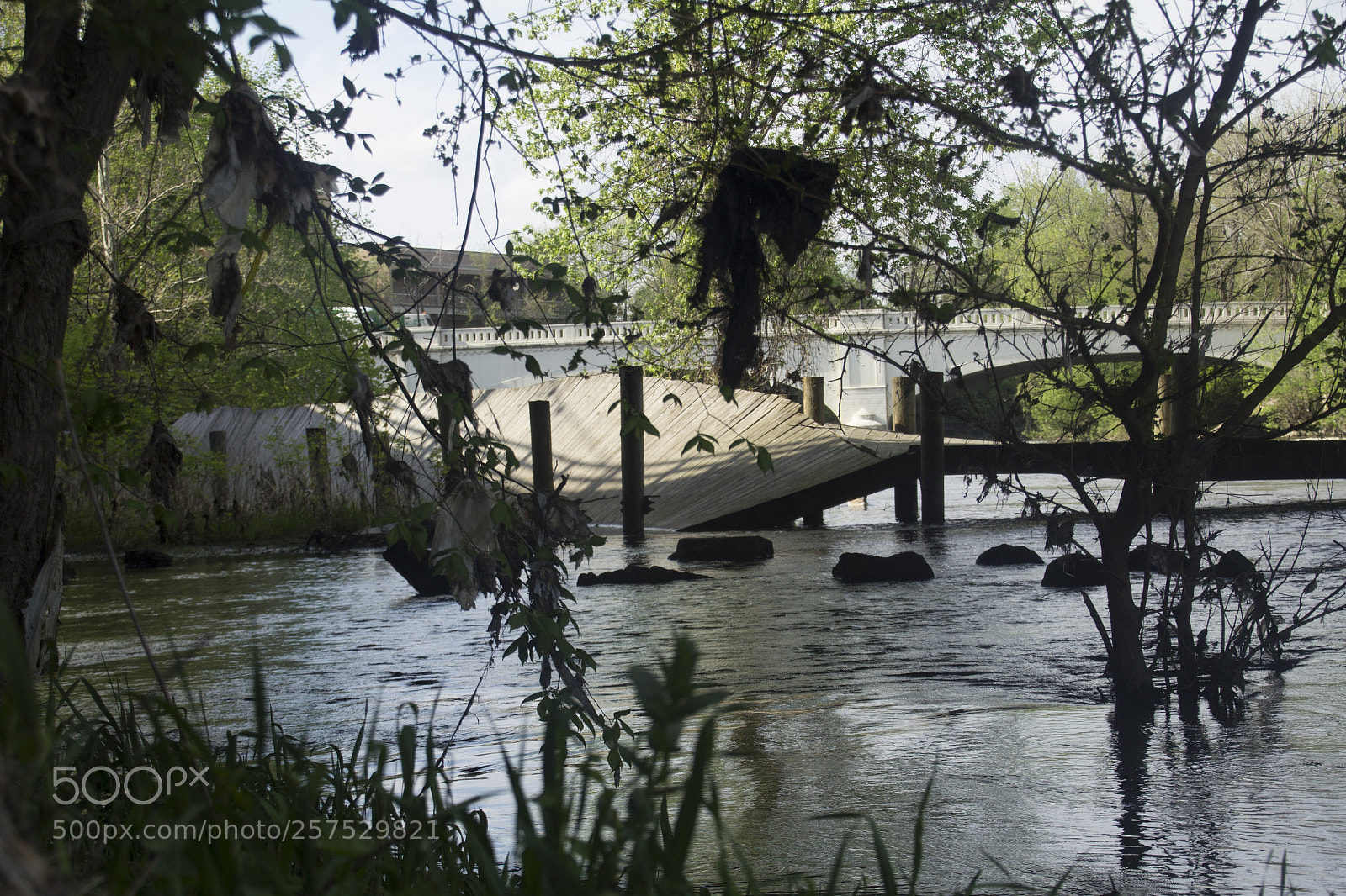Canon EOS 1200D (EOS Rebel T5 / EOS Kiss X70 / EOS Hi) sample photo. Broken bridge and trees. photography