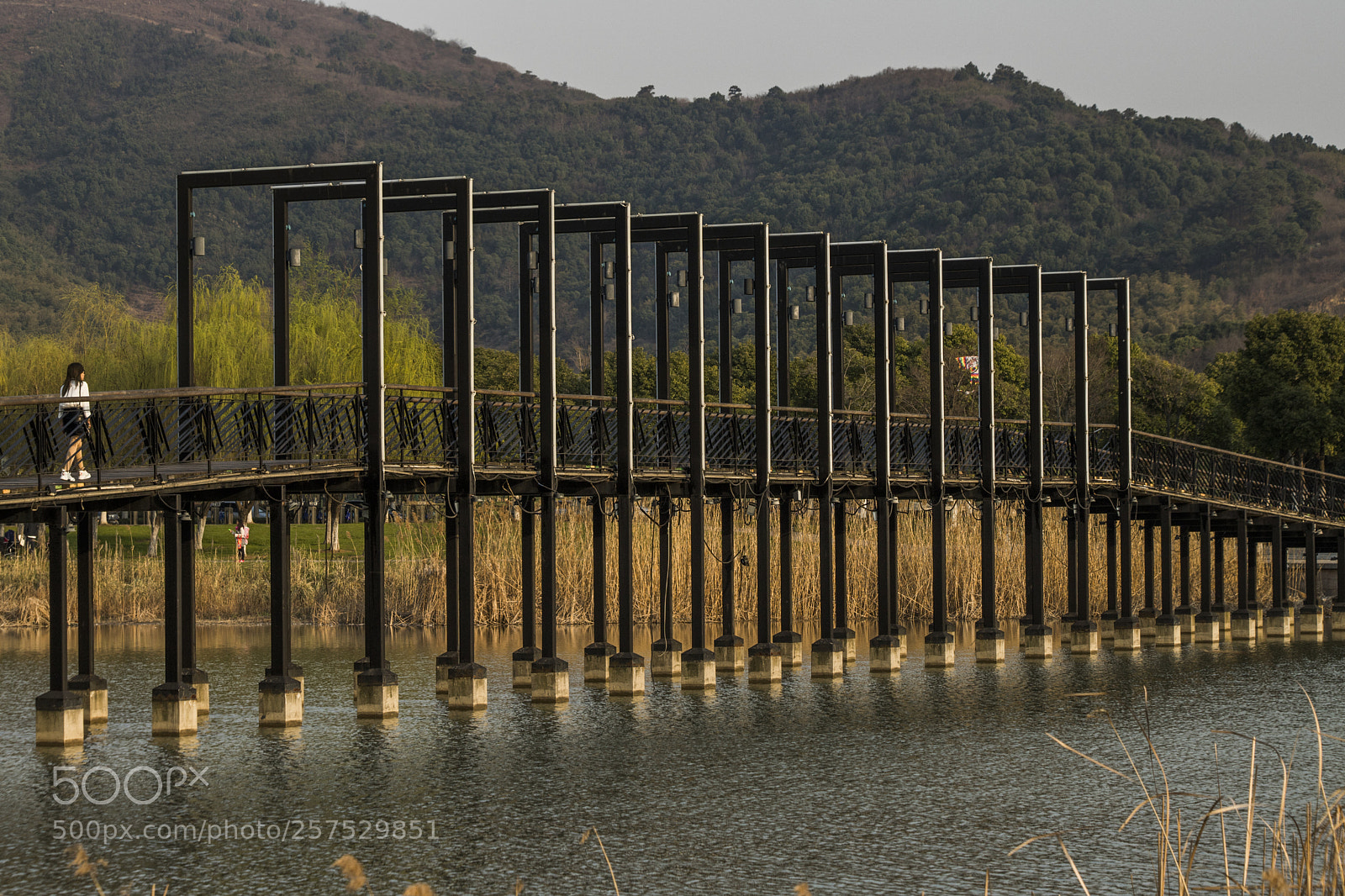 Canon EOS 6D Mark II sample photo. Bridge photography