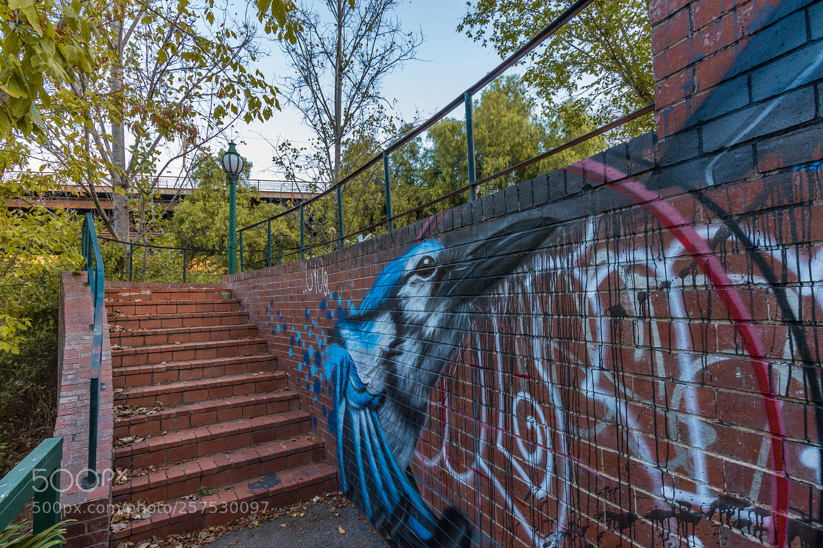 Nikon D5600 sample photo. Round the bend up photography