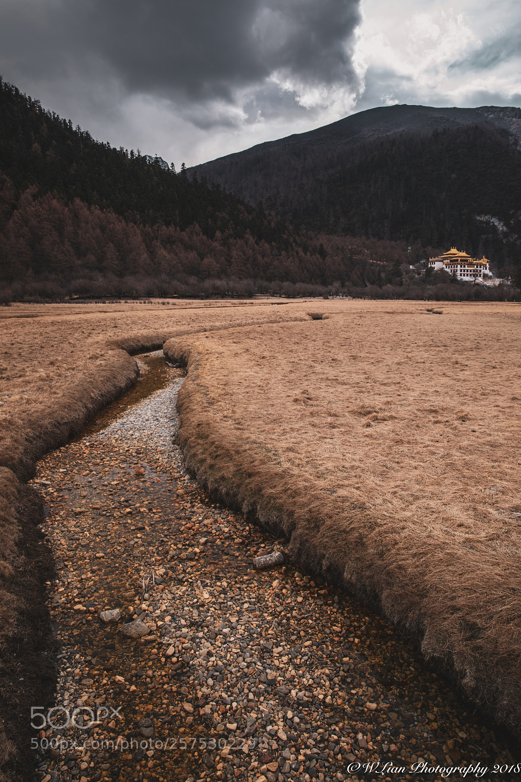 Canon EOS 5D Mark IV sample photo. Chonggu temple, daocheng national photography