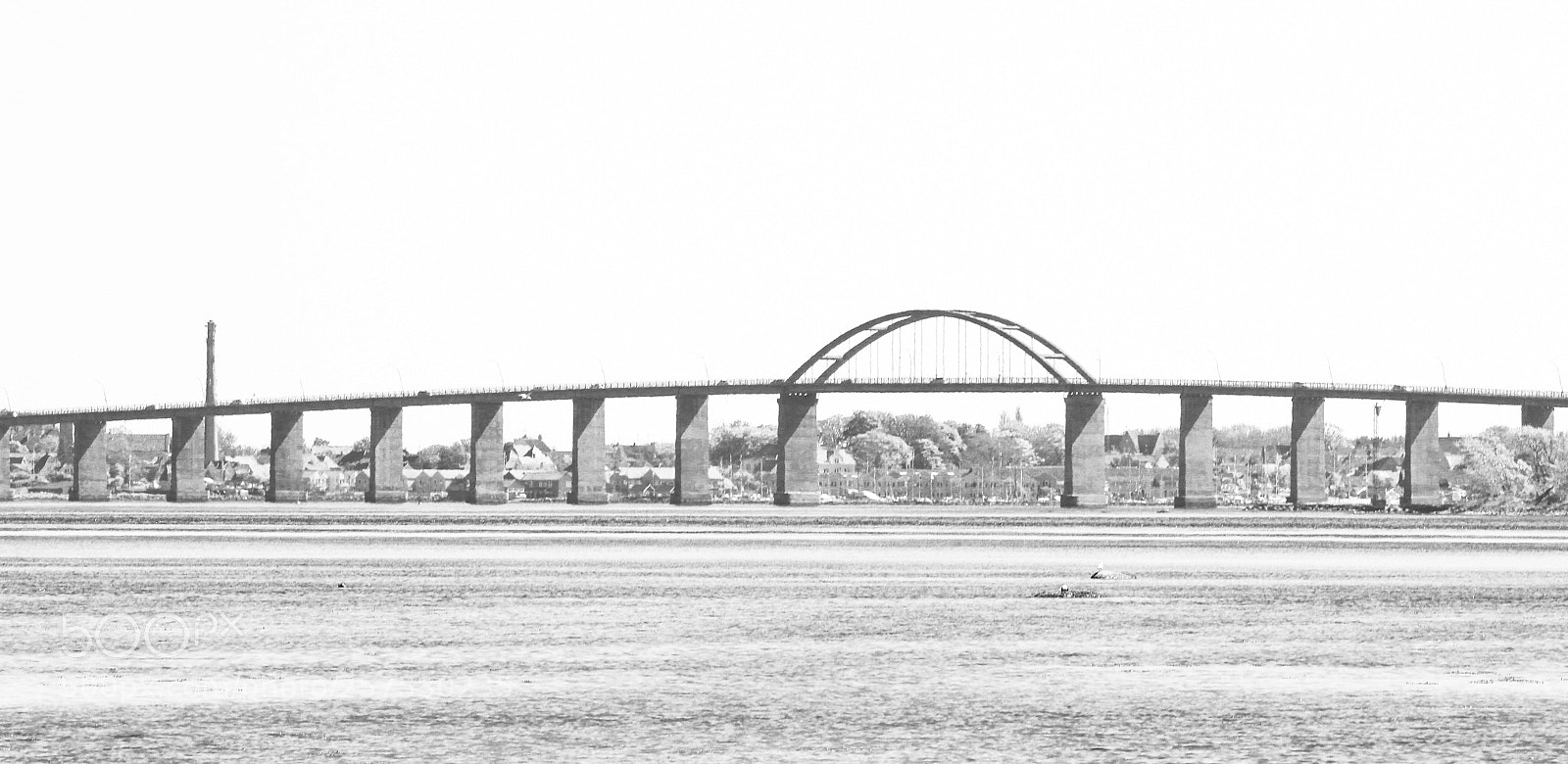 Canon EOS 60D sample photo. Untitled photography