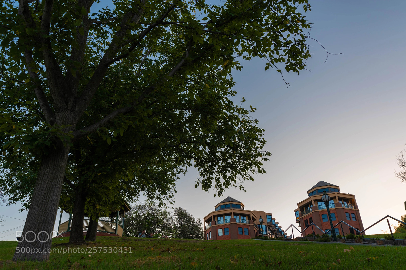 Nikon D5600 sample photo. Beneath the leaves photography